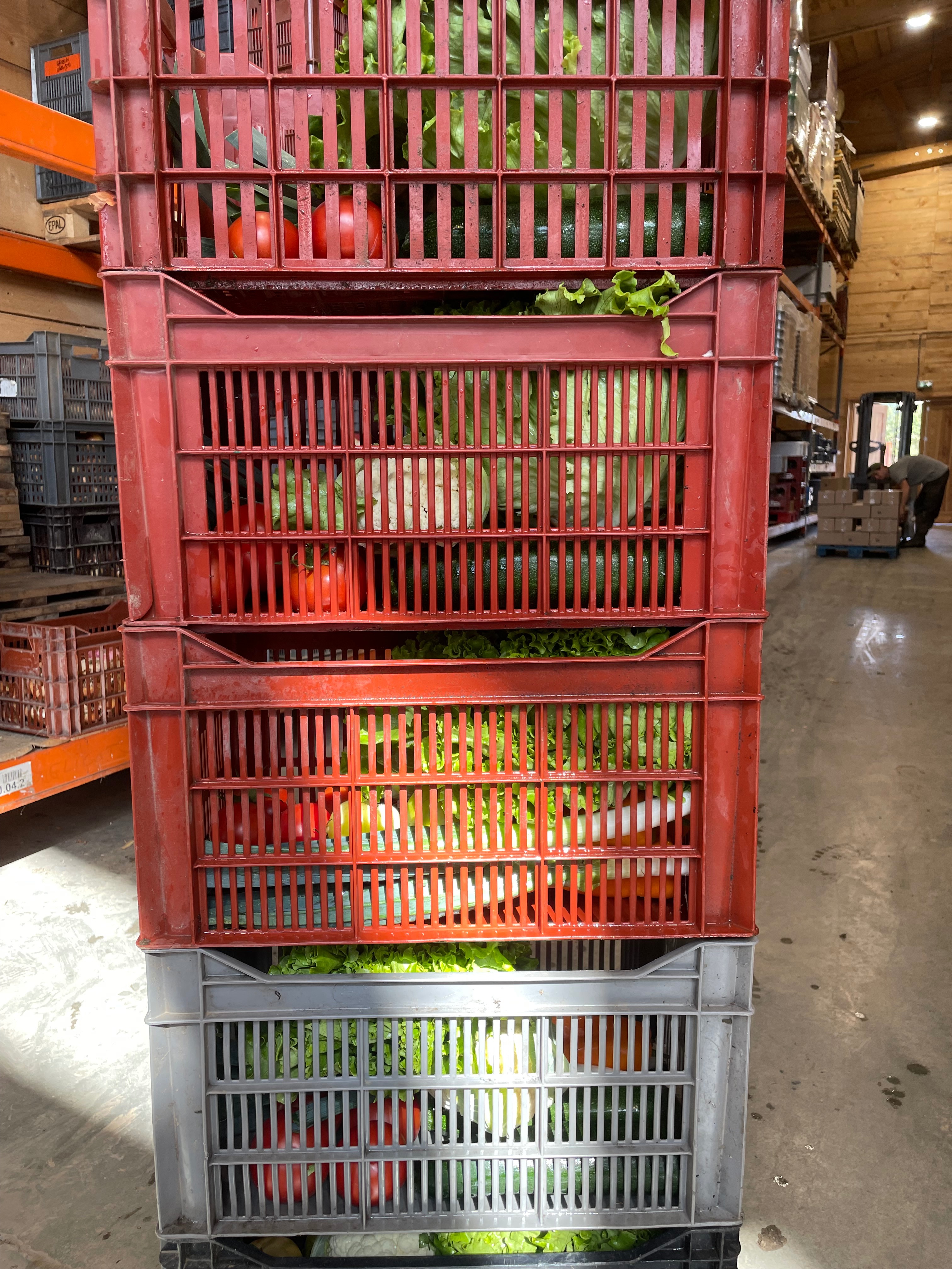 Panier de légumes de saison - S