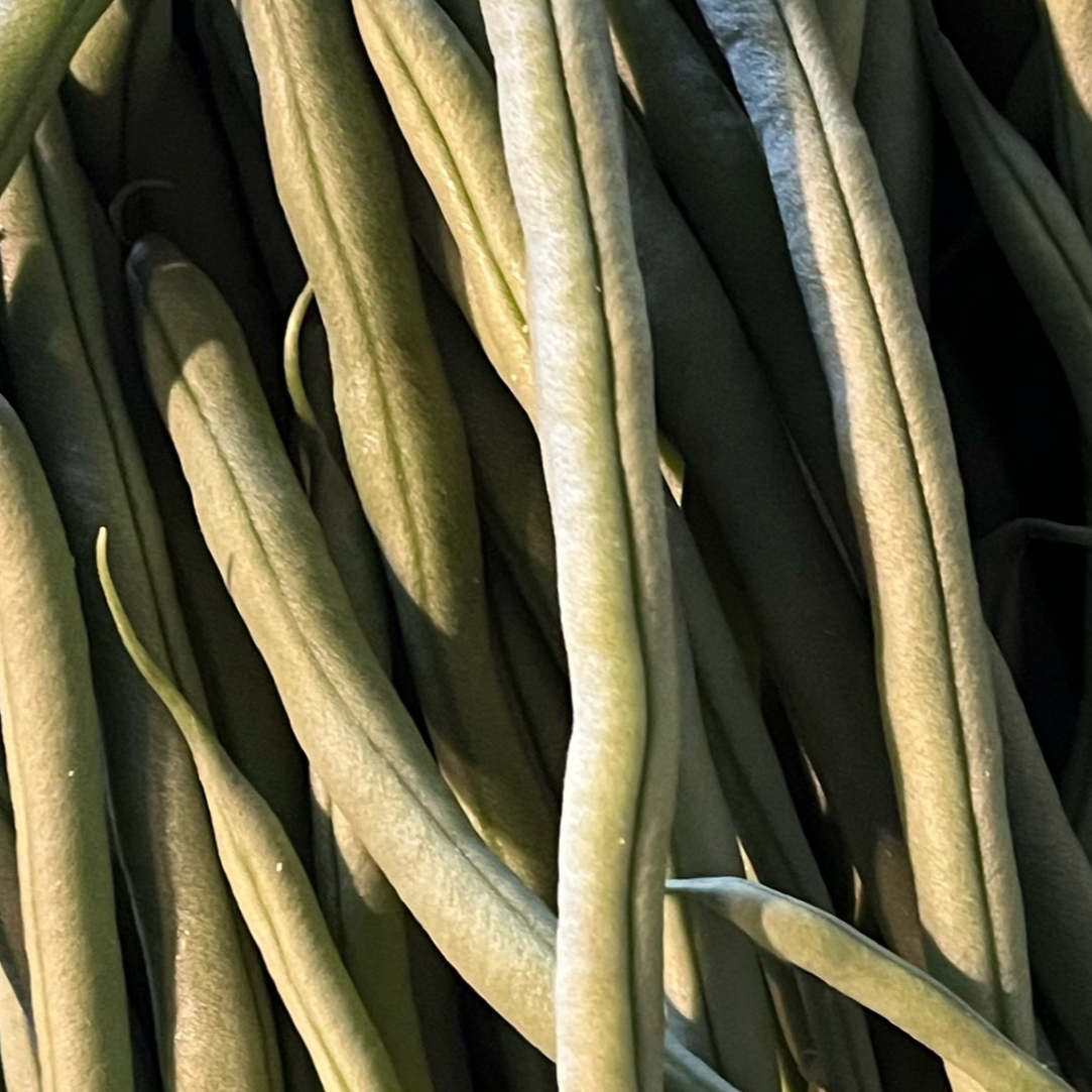 Haricots verts