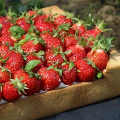 Cagettes de Fraises à Confiture - 5kg