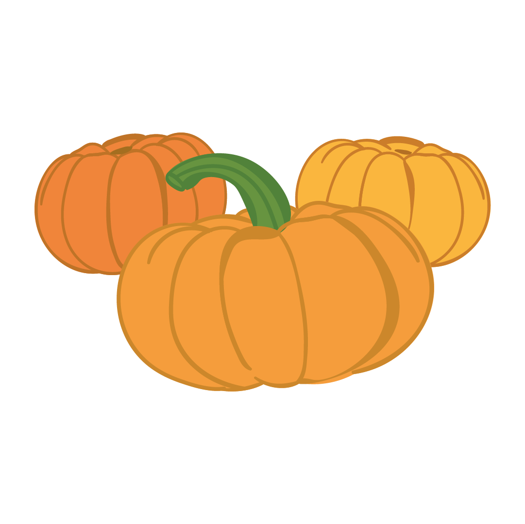 Courge Jack Be Little