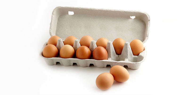 Oeufs frais BIO (Boîte de 12)