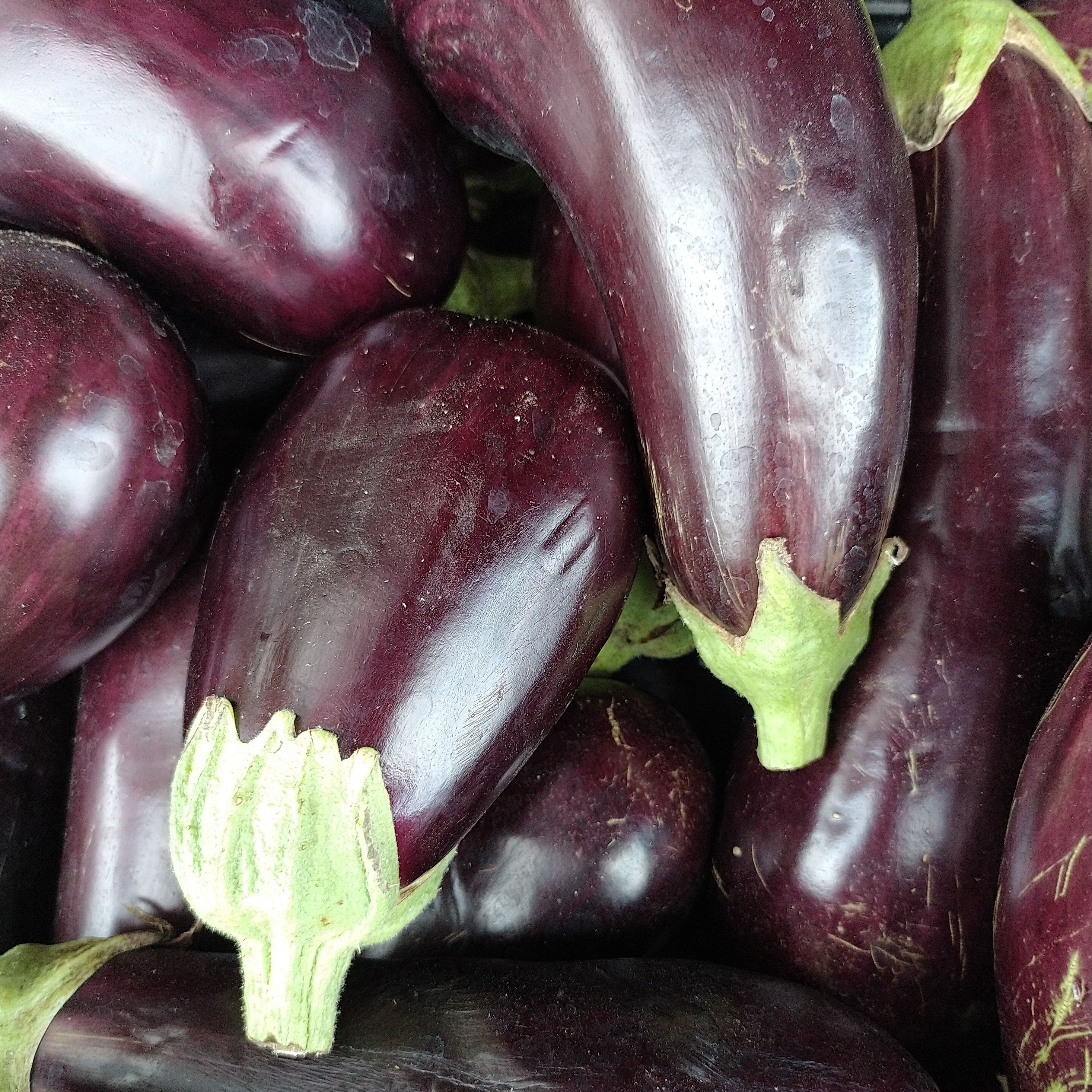 Aubergines déclassées au kilo - déstockage !