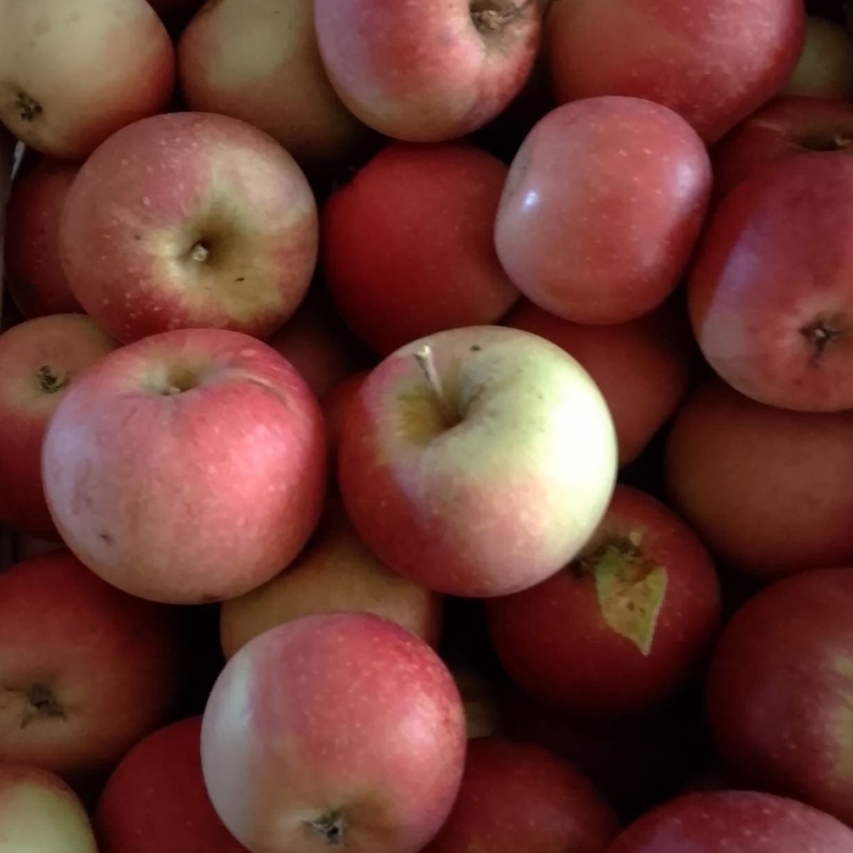 Pommes Dalinsweet