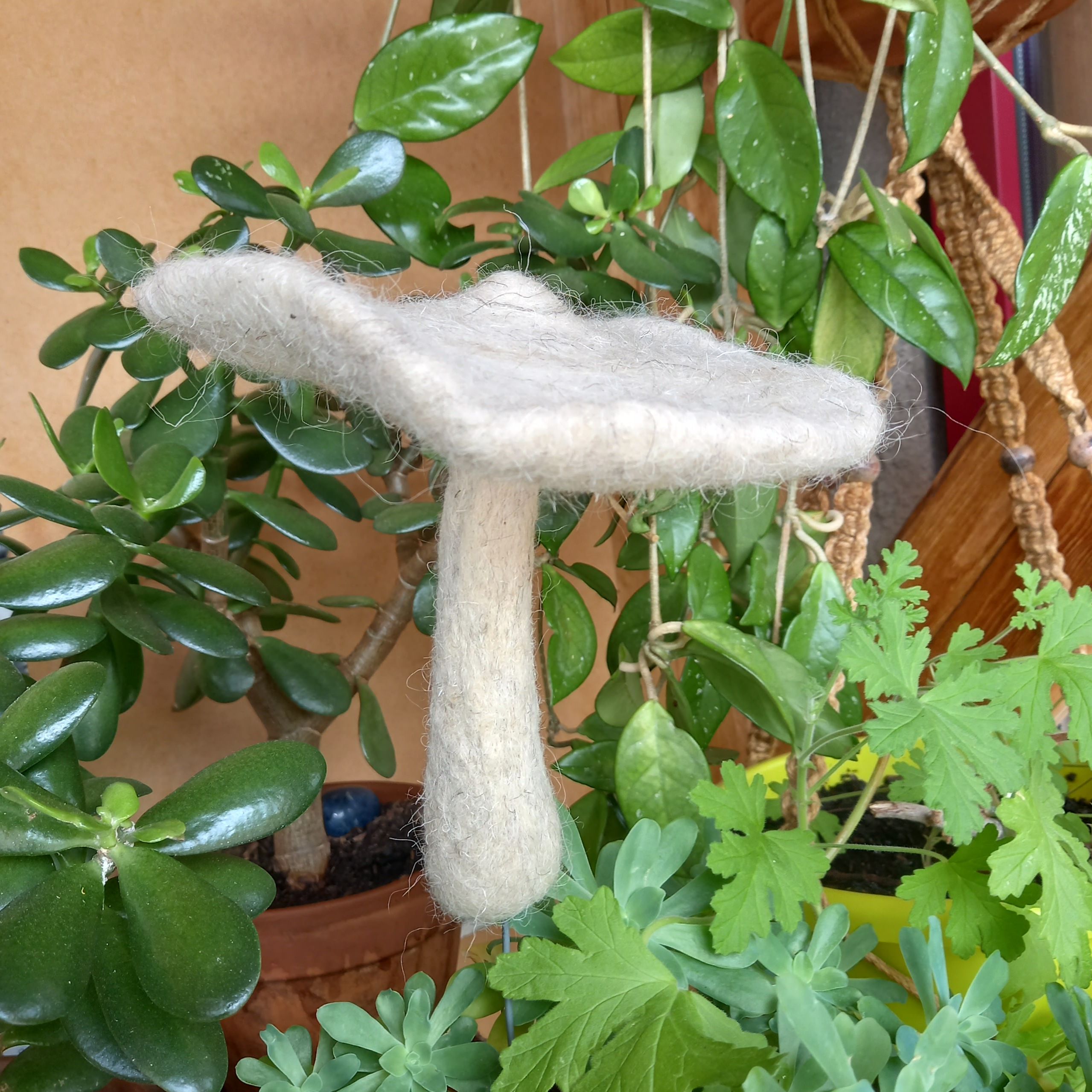 Champignon Coulemelle décoratif en feutre
