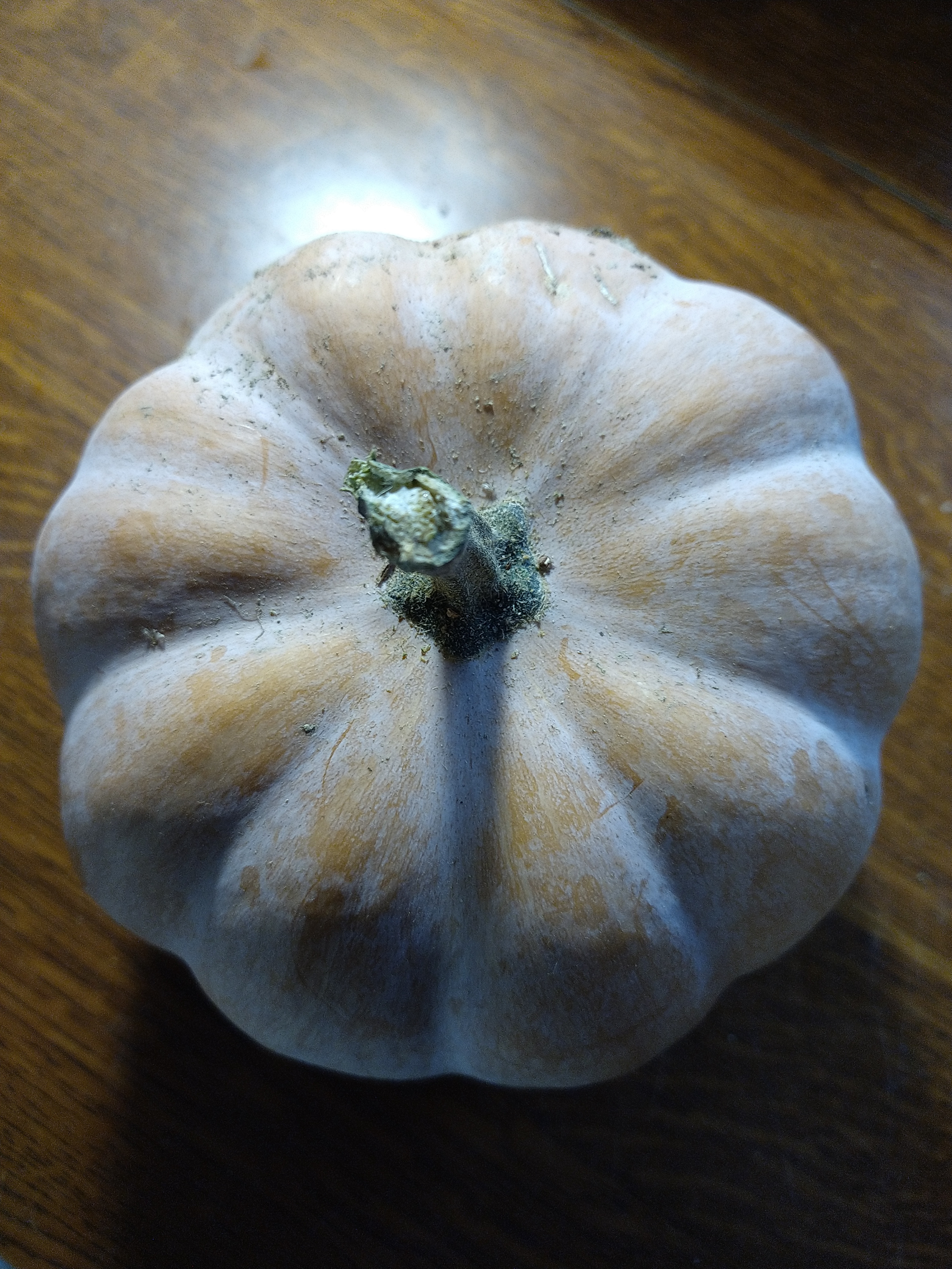 Courge carat