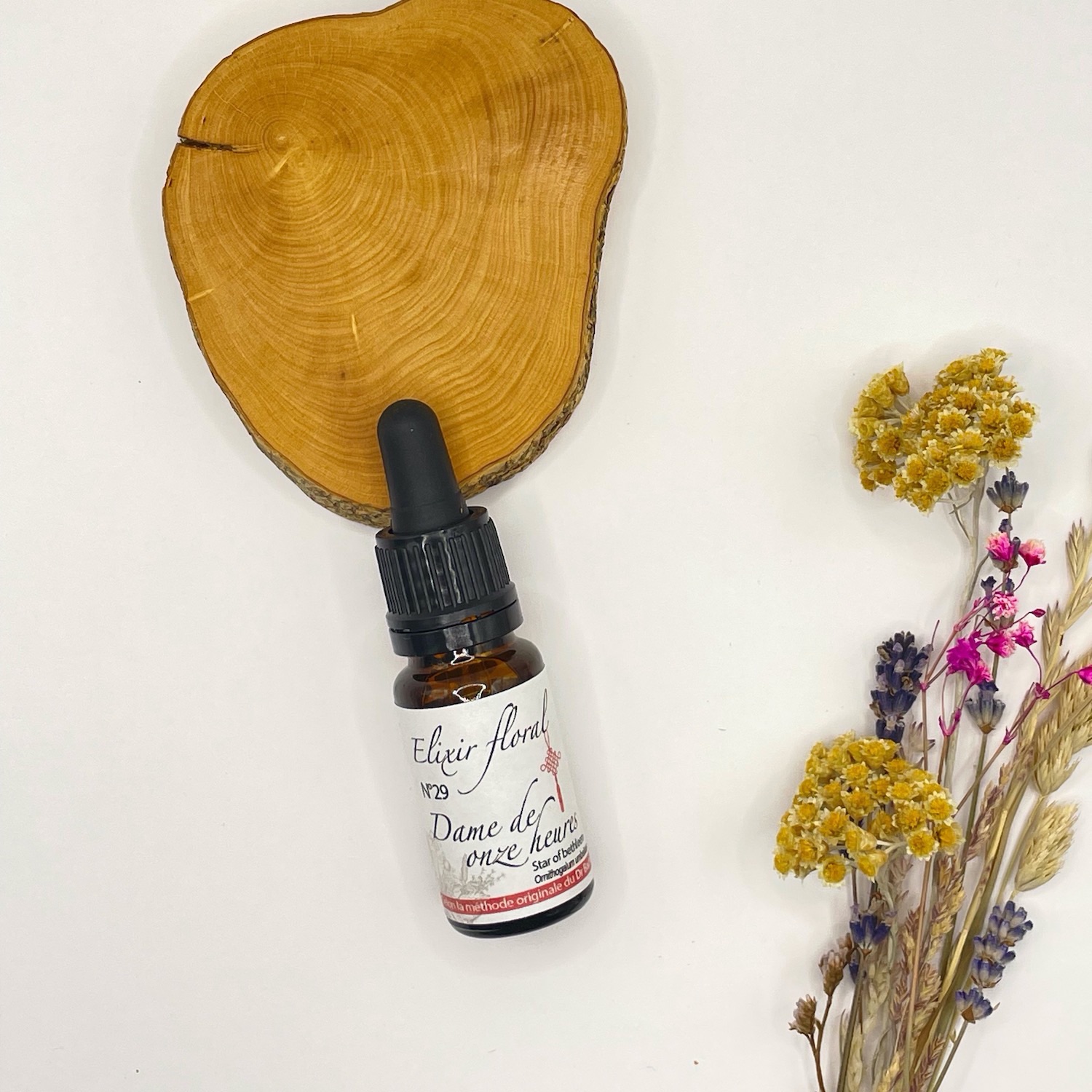 DAME DE 11 HEURES, Ornithogalum umbellatum, STAR OF BETHLEEM -29 - 10ml