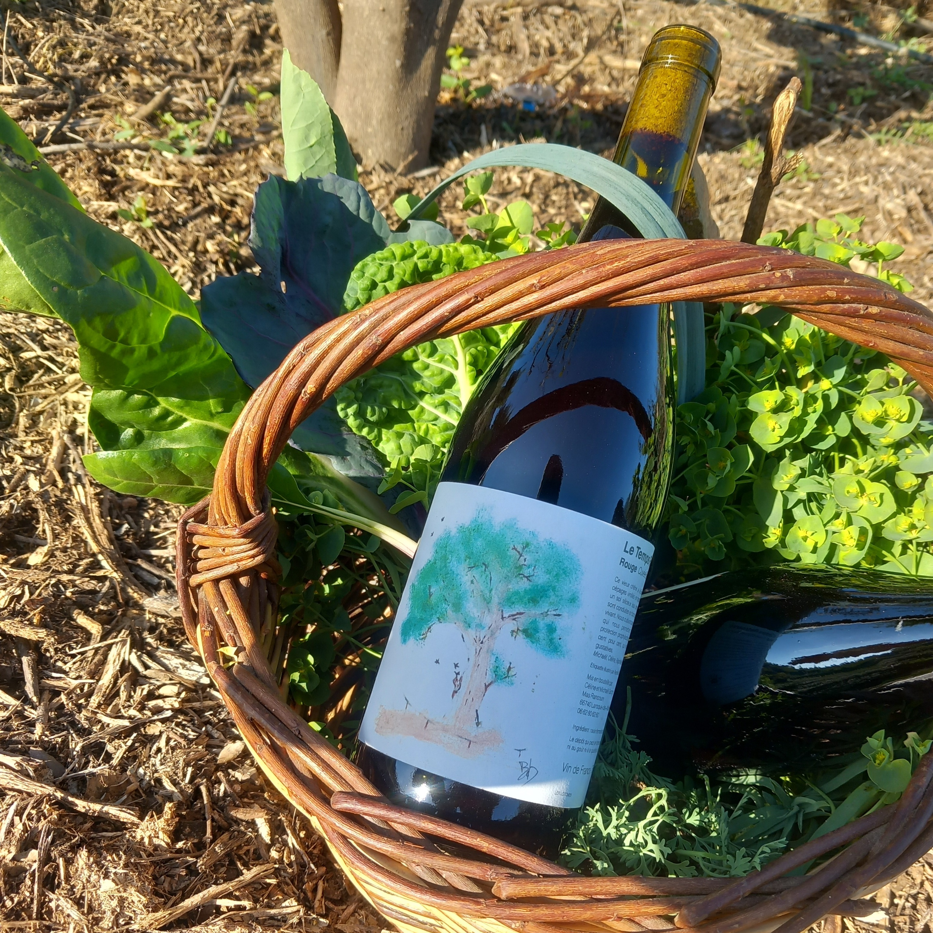 Bienveillance Millésime 2023