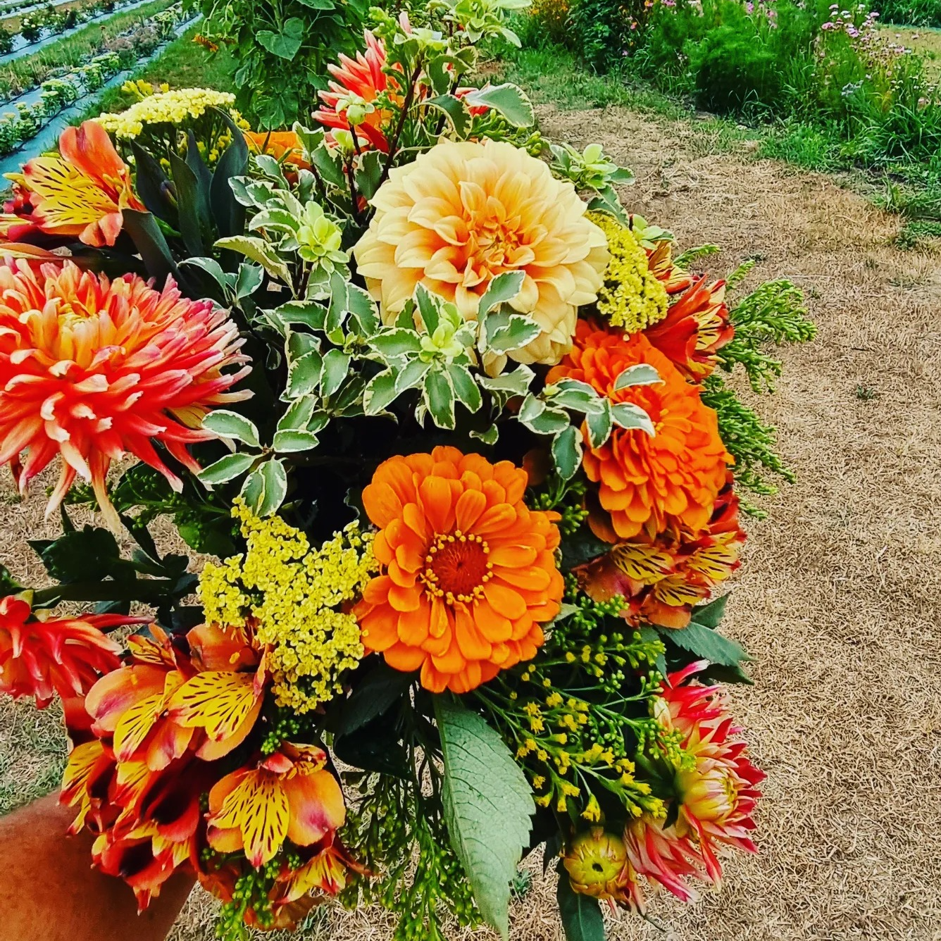 Bouquet de fleurs de saison coloré