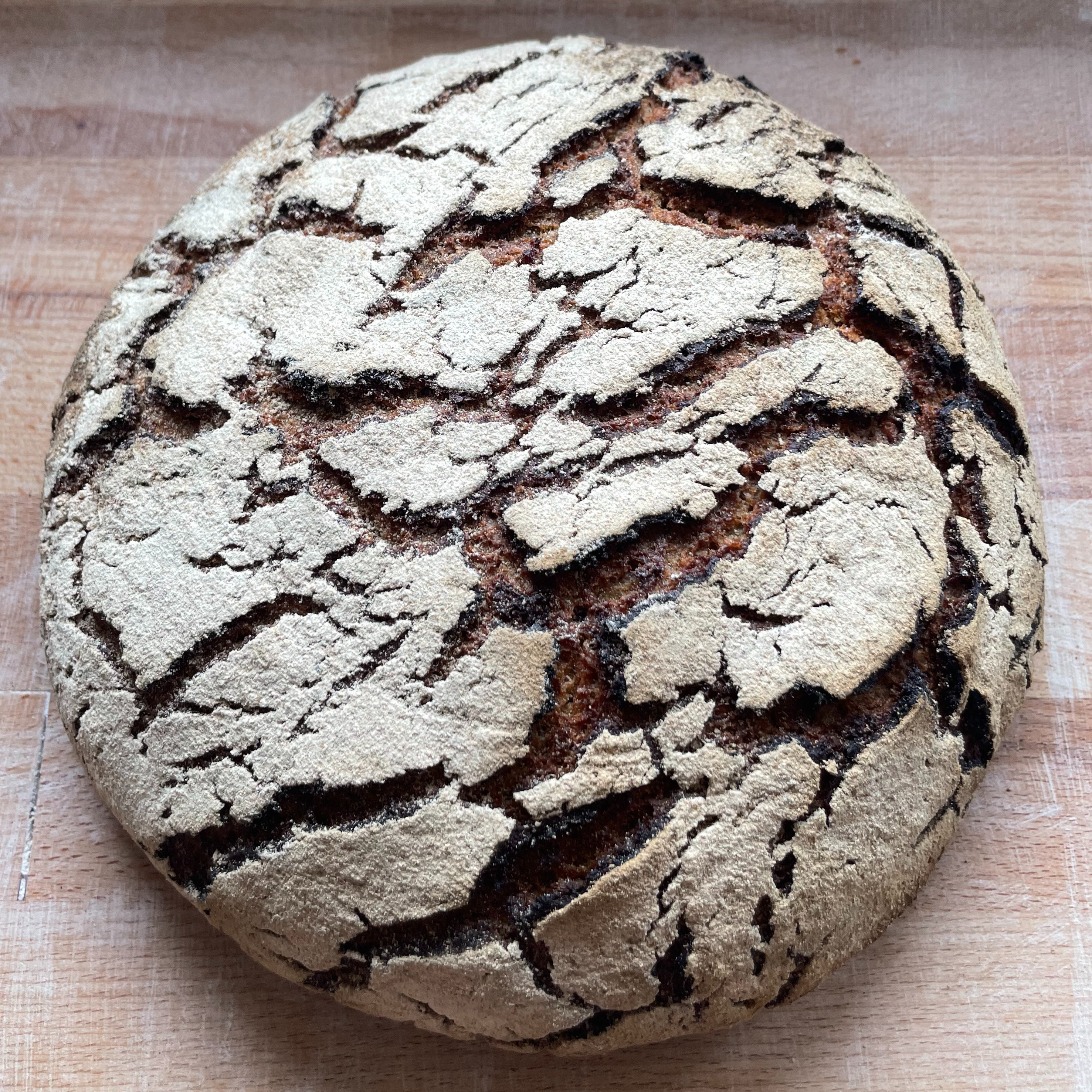 Pain 100% seigle (grand format) - 1kg