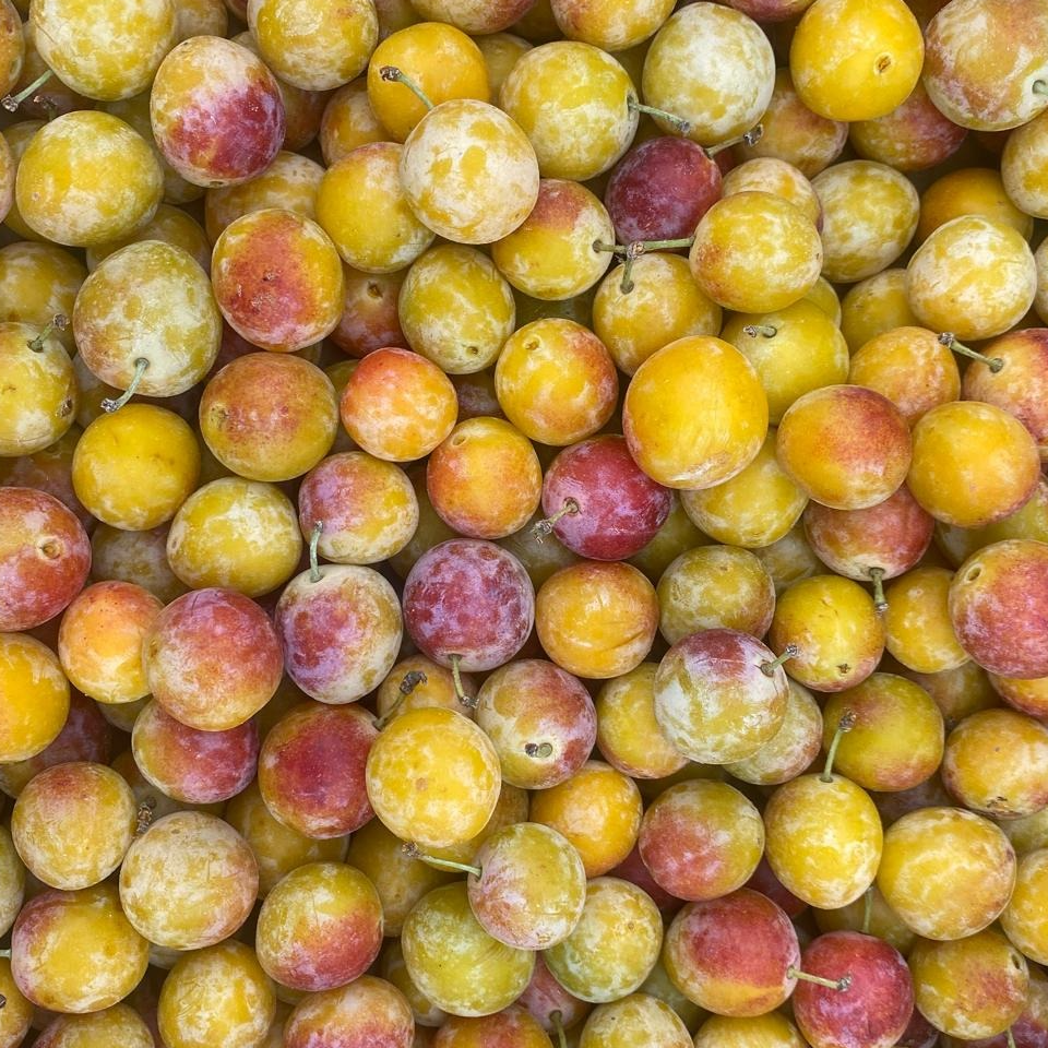 Prune Mirabelle - 400g