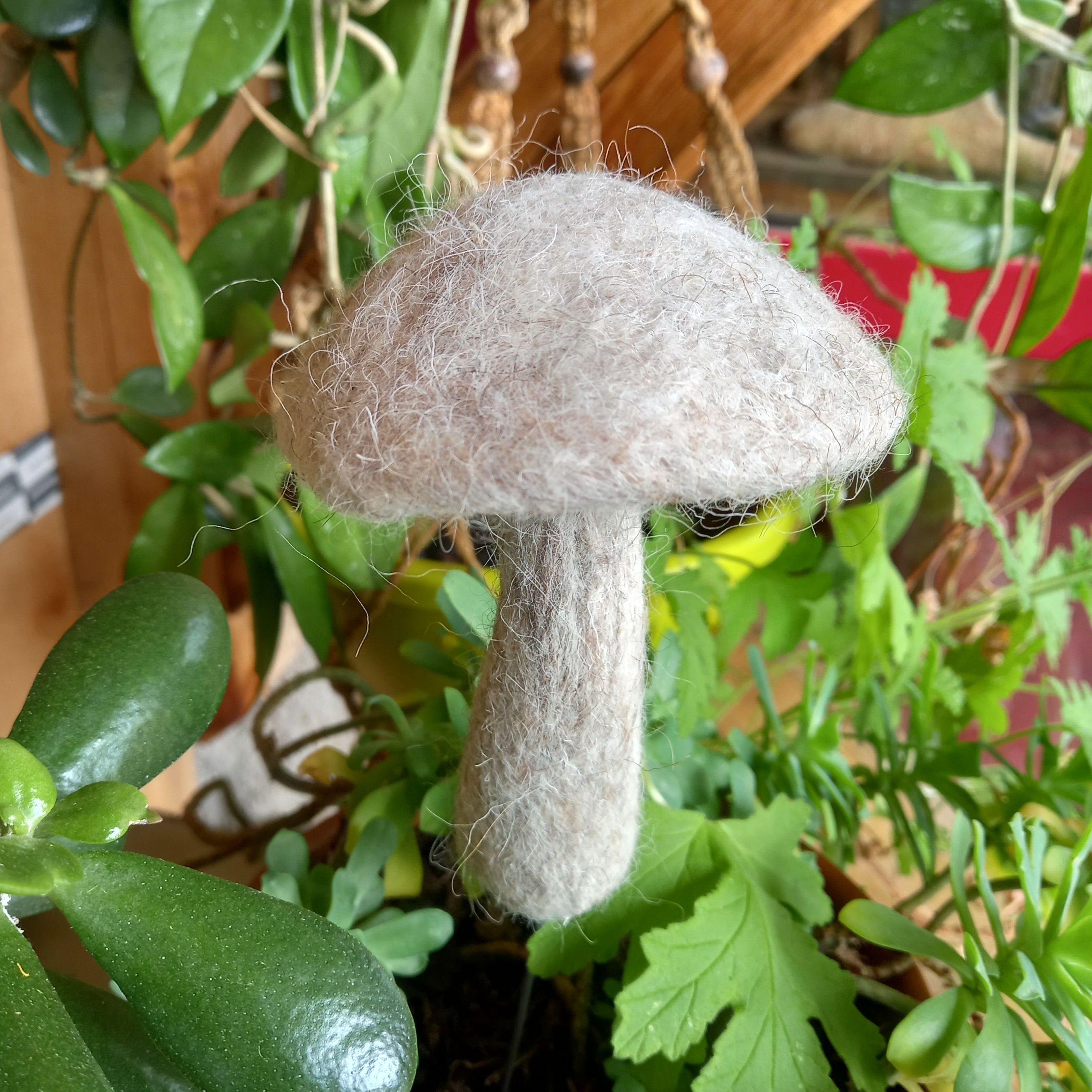 Champignon Bolet décoratif en feutre