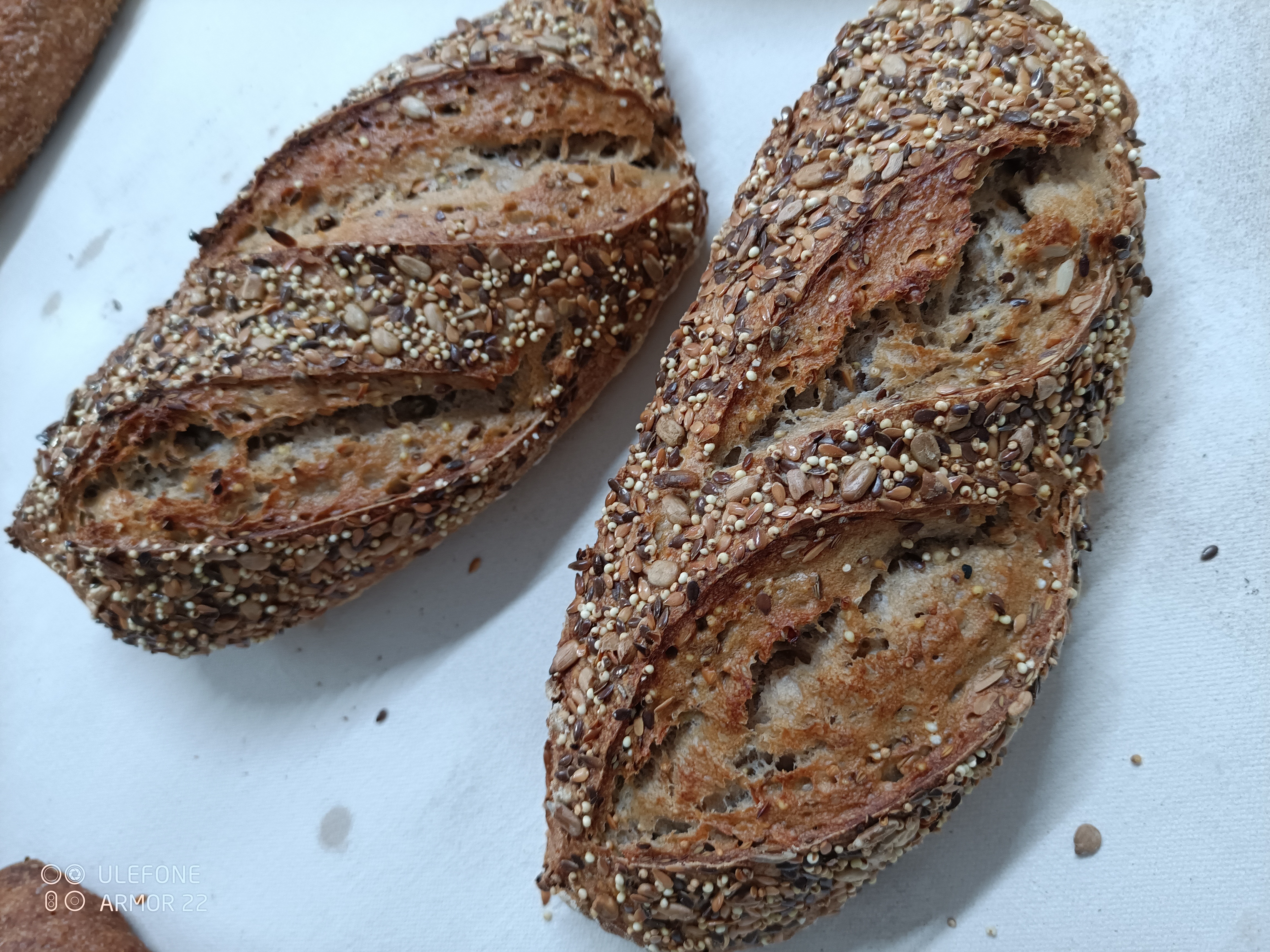 Le Graines À La Coupe