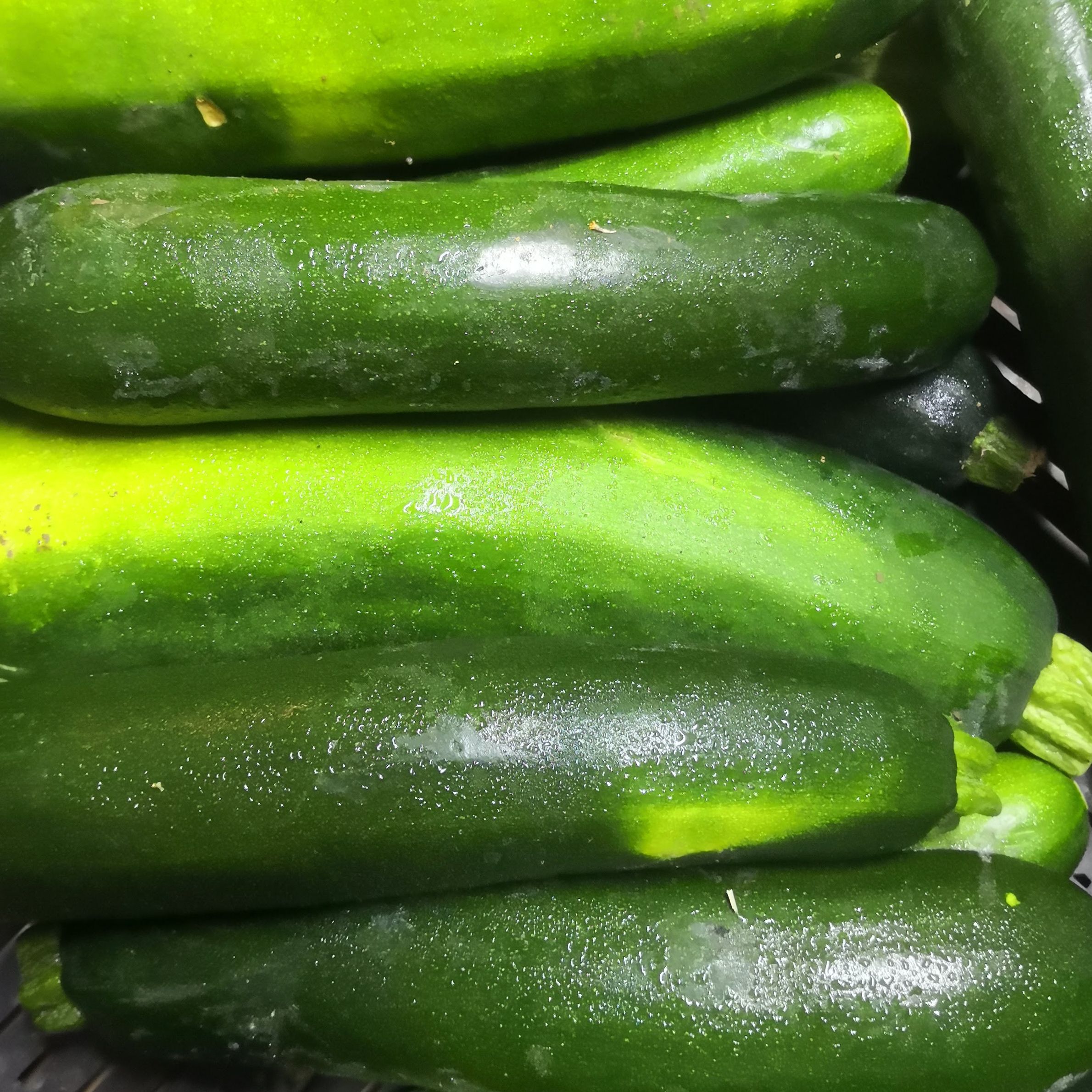 Courgette