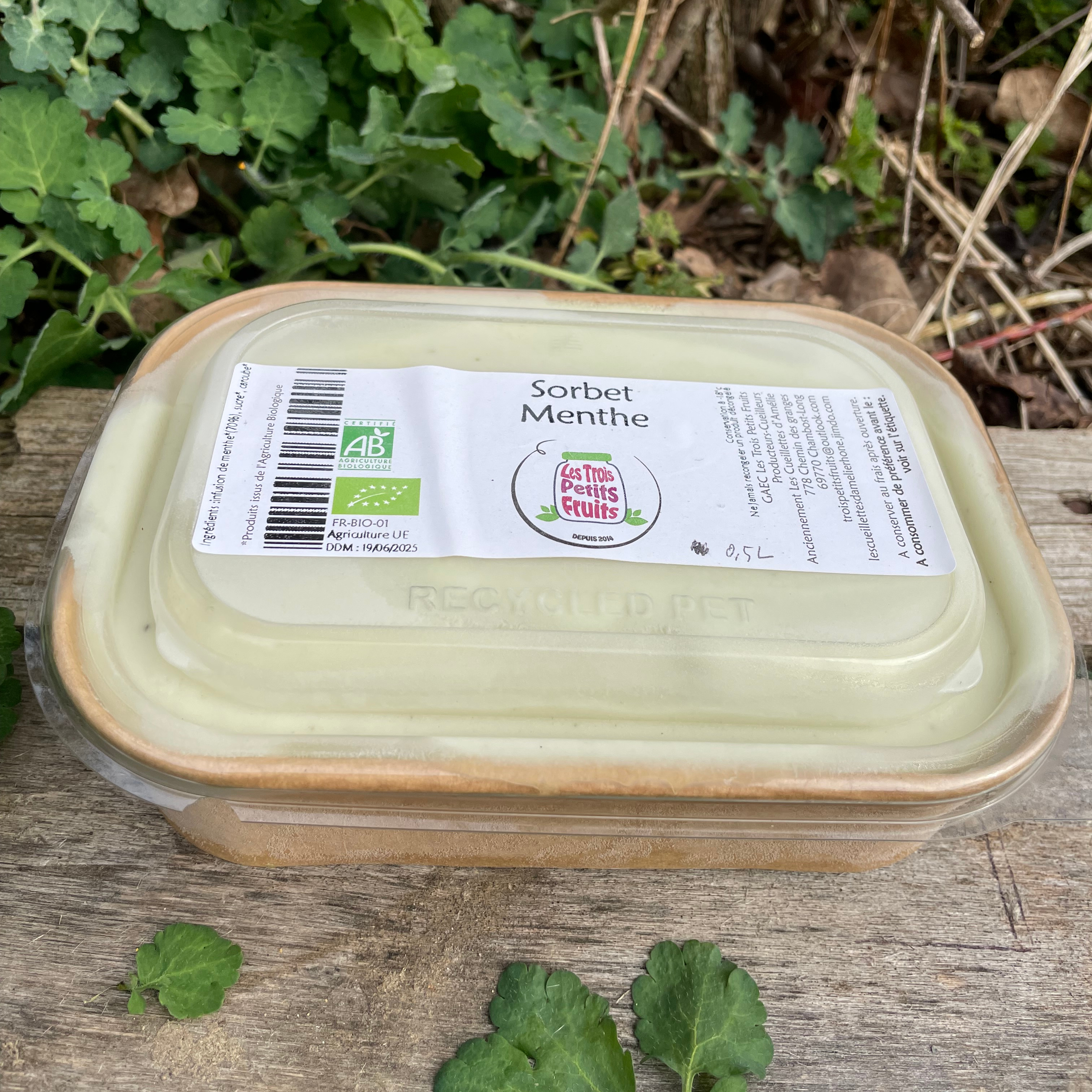 Sorbet Menthe 500ml - 500g