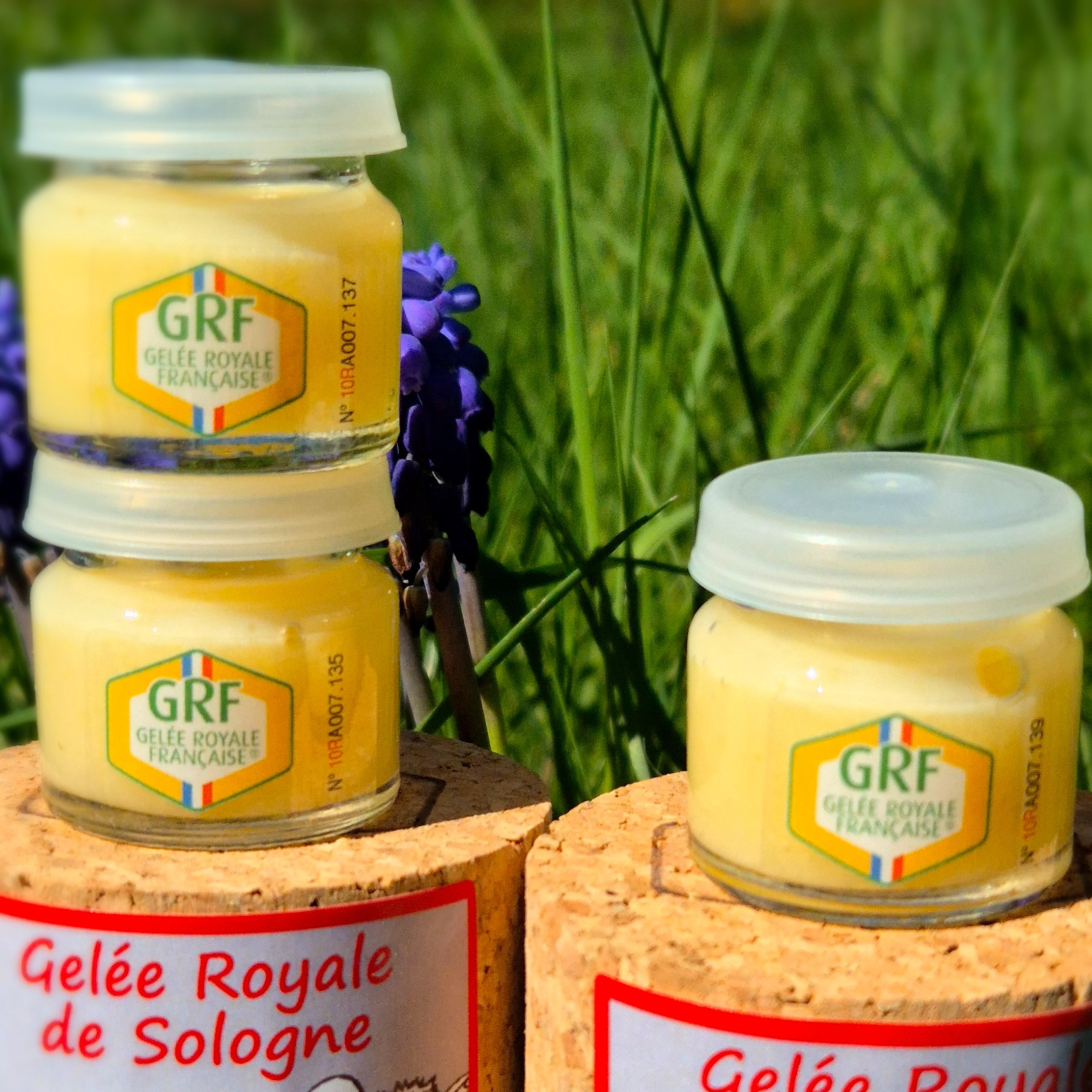 3 Pots De 10 G Dans 2 Coffrets Liège - 30g