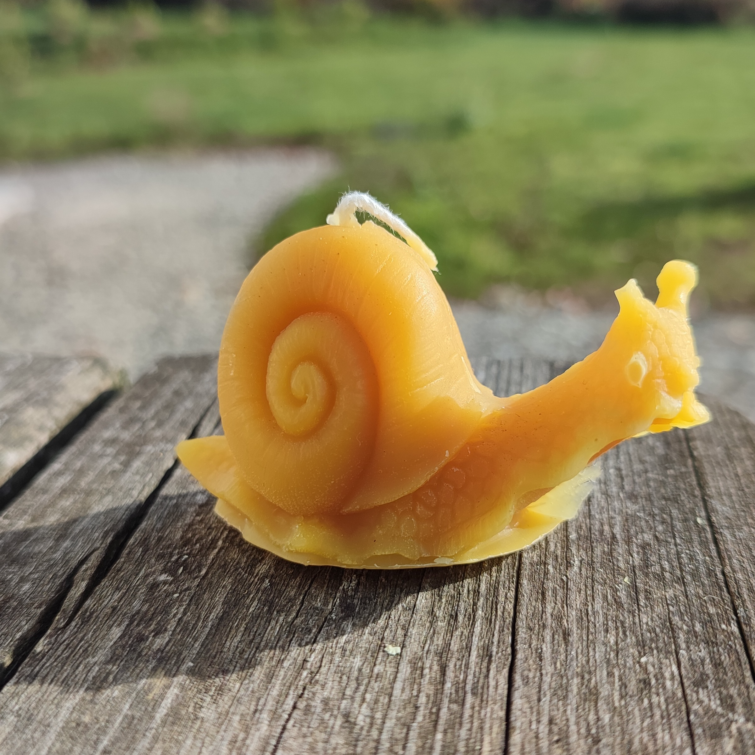 Escargot