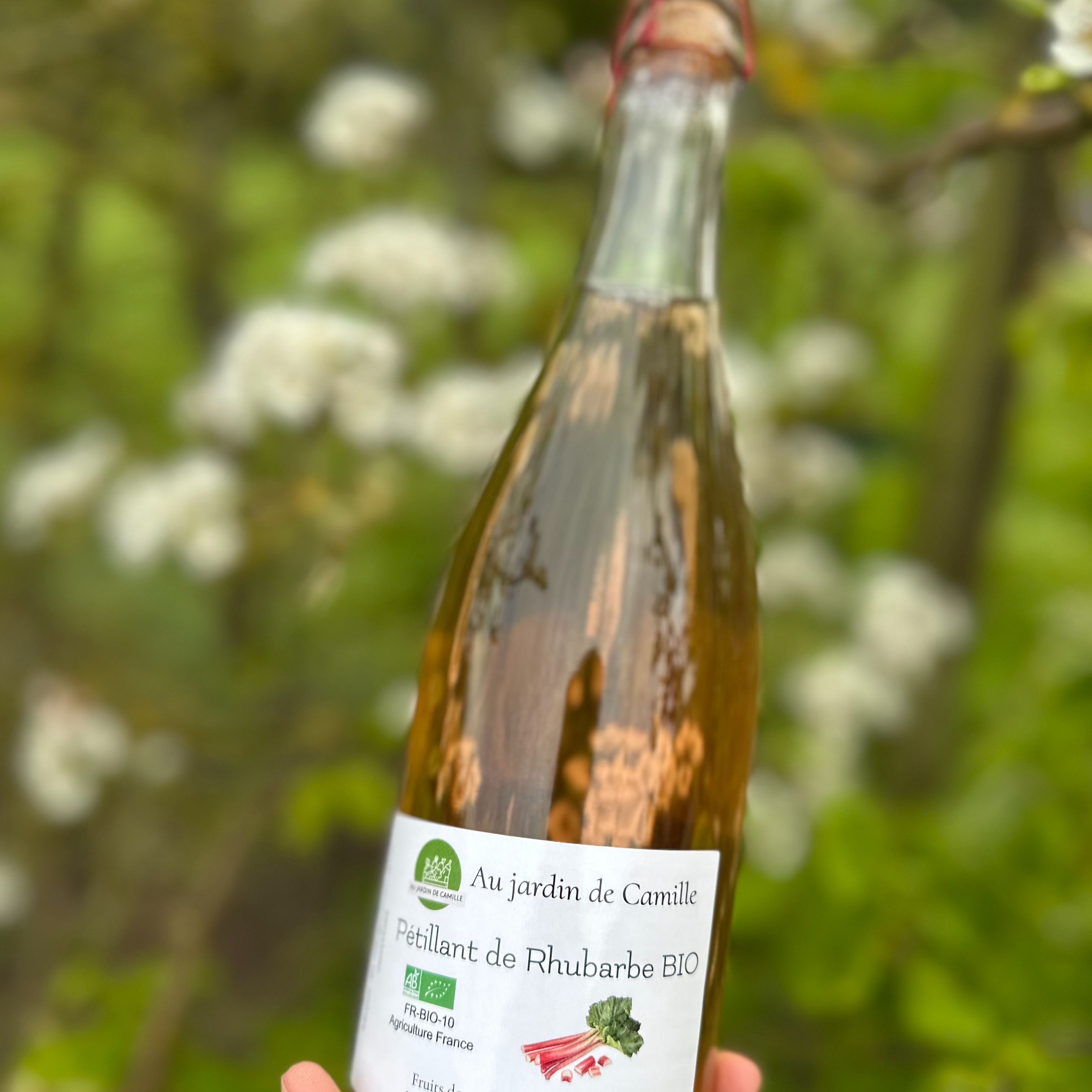 Pétillant de rhubarbe