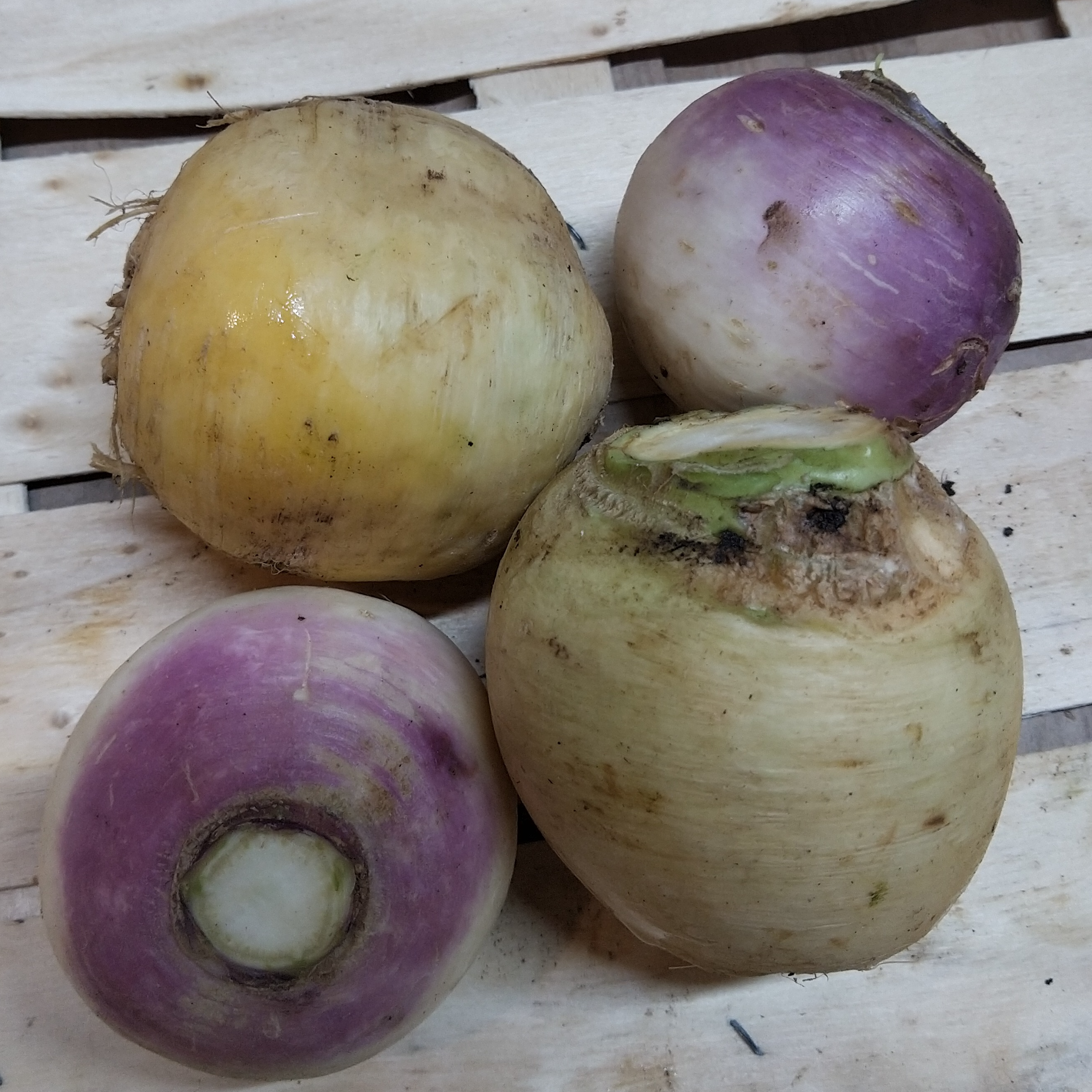 Navets jaune ou violet vrac