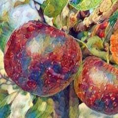 Raisin  Rouge