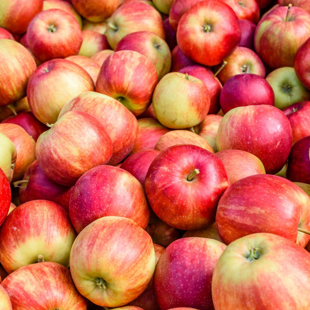 Pomme Elstar (Petites) - 800g