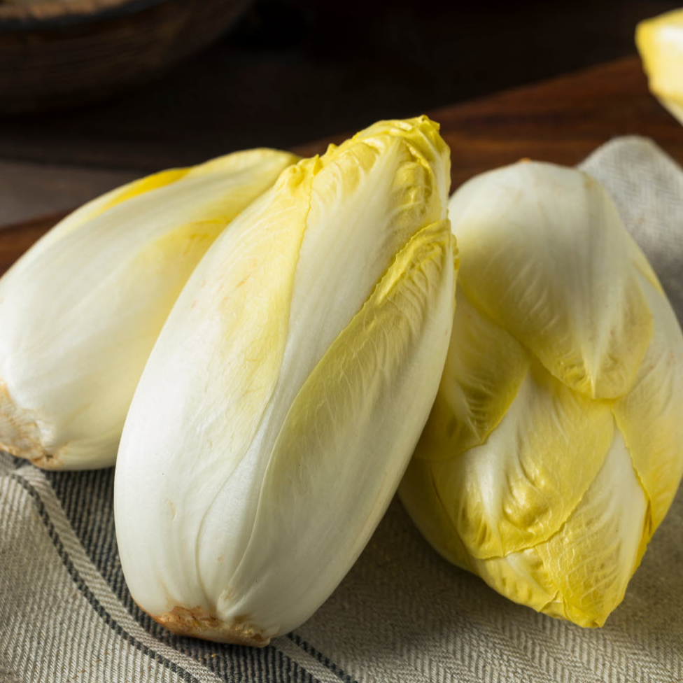 Endive (pièce)