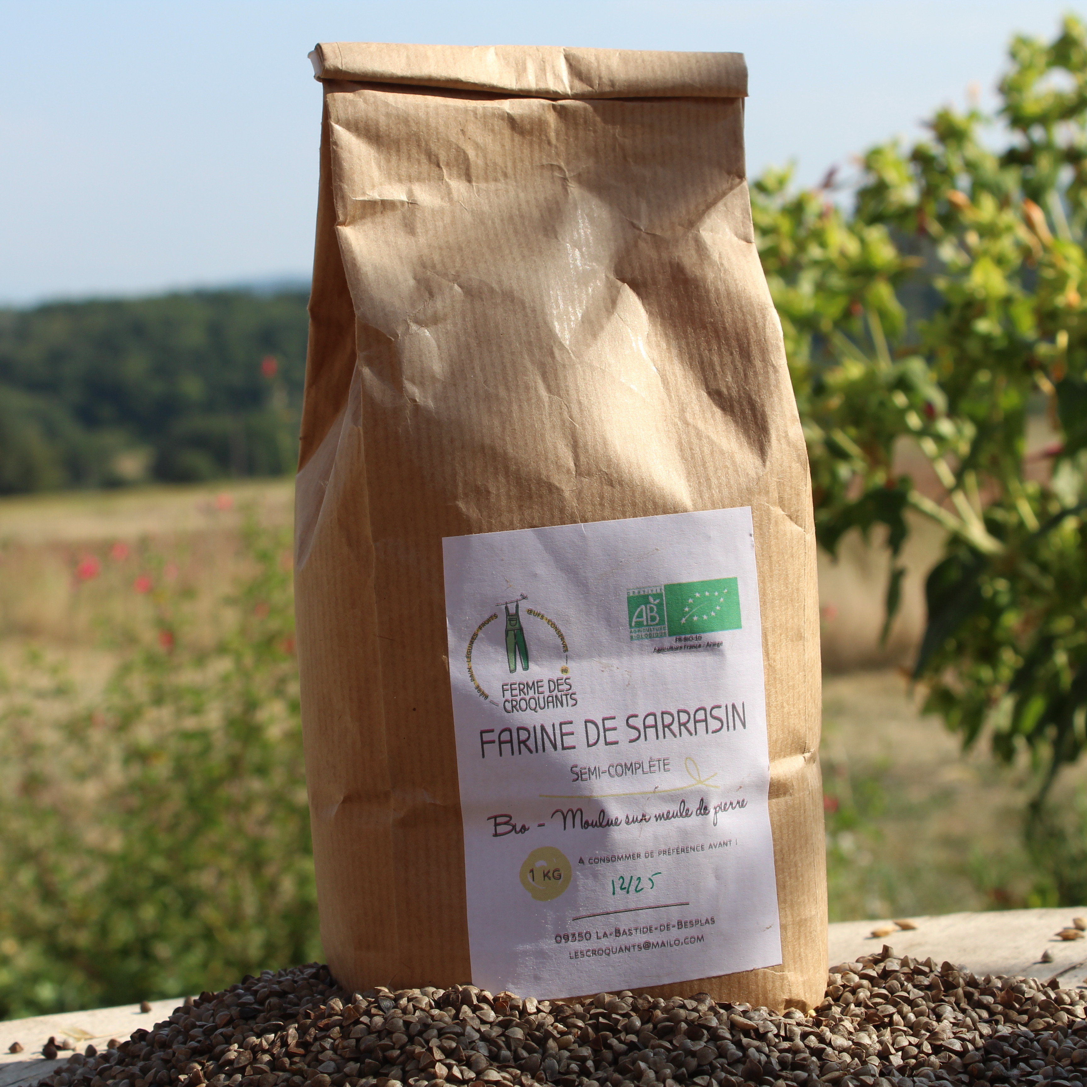 Farine de Sarrasin