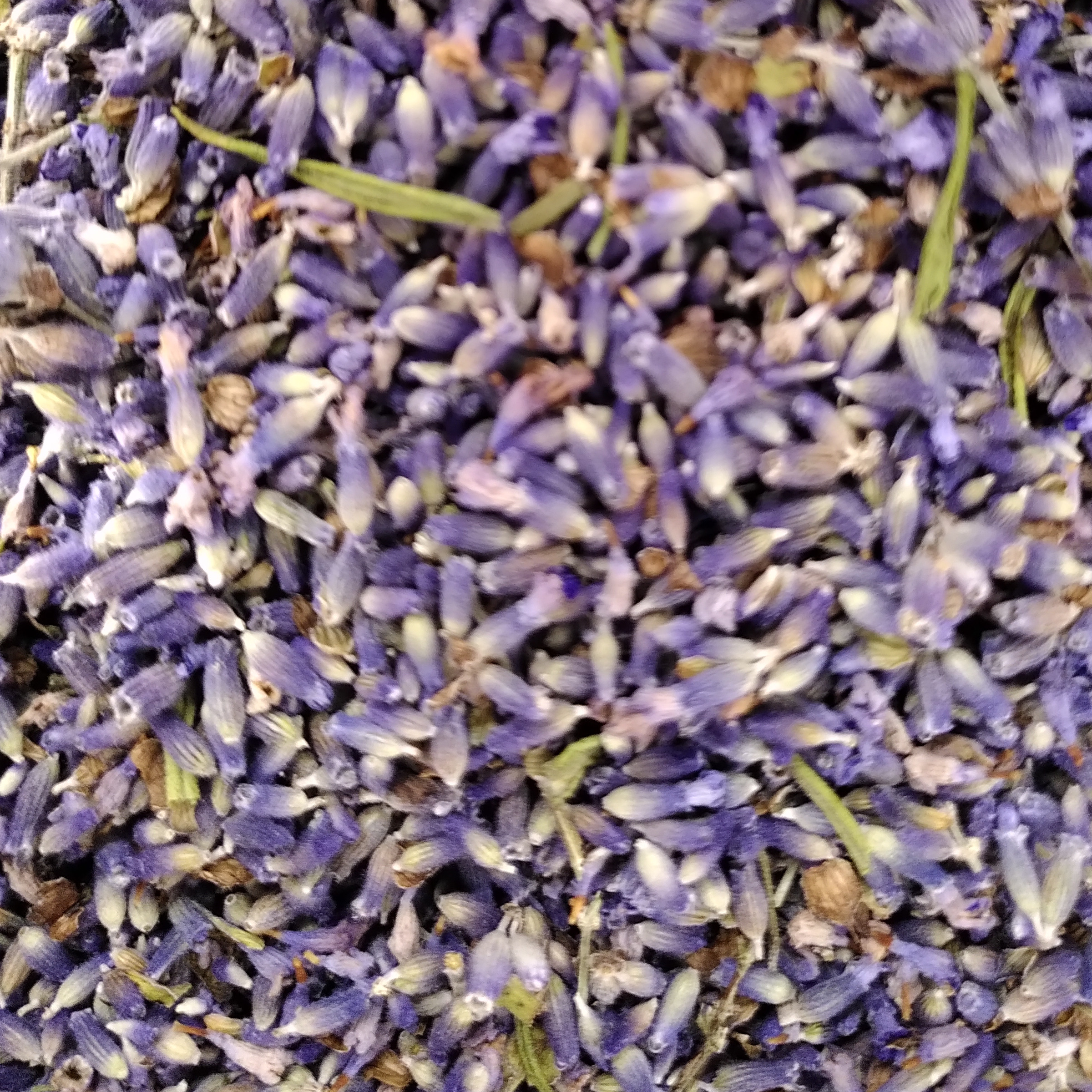INFUSION SIMPLE LAVANDE - 15g
