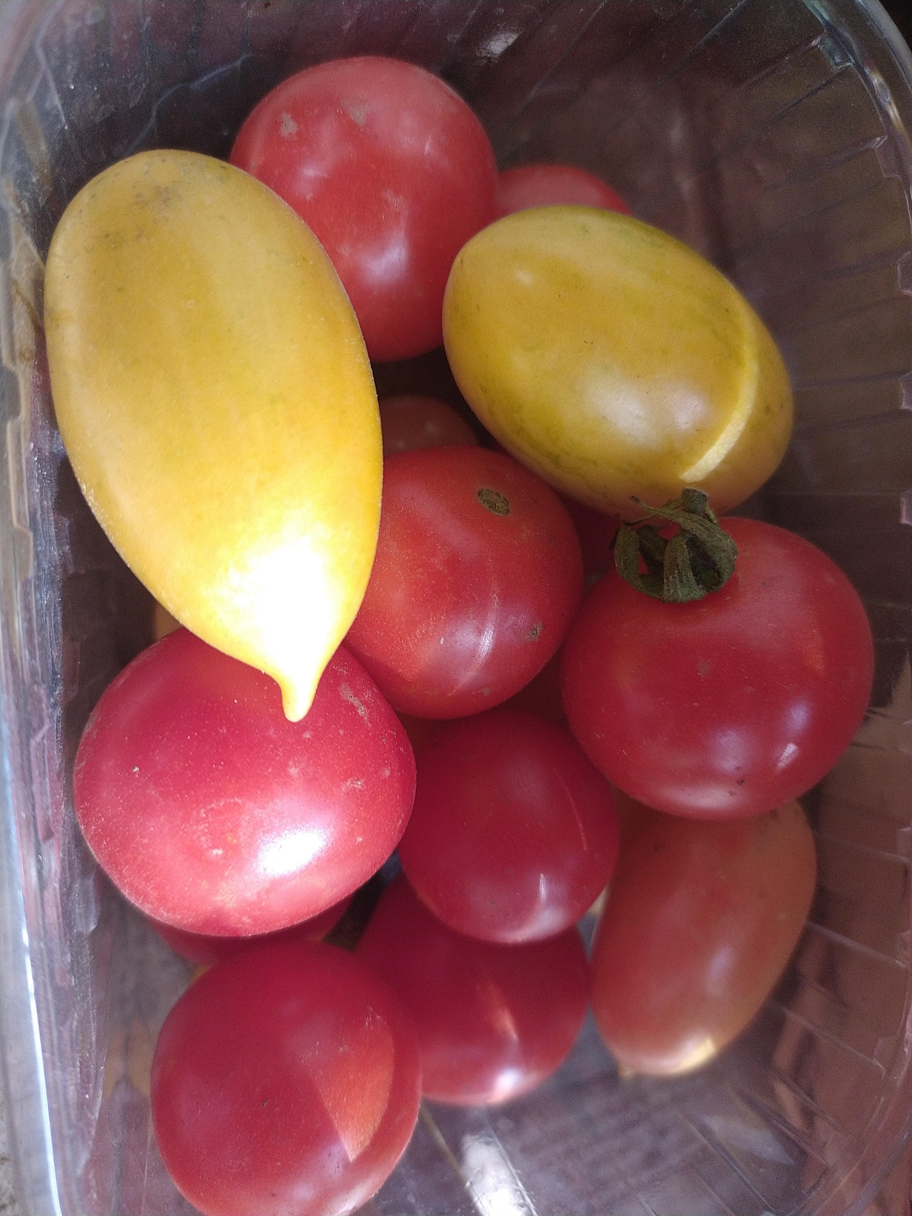 Tomate cerise (250g)