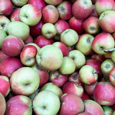 Pomme ‘Wellant' (sucrée/acidulée)