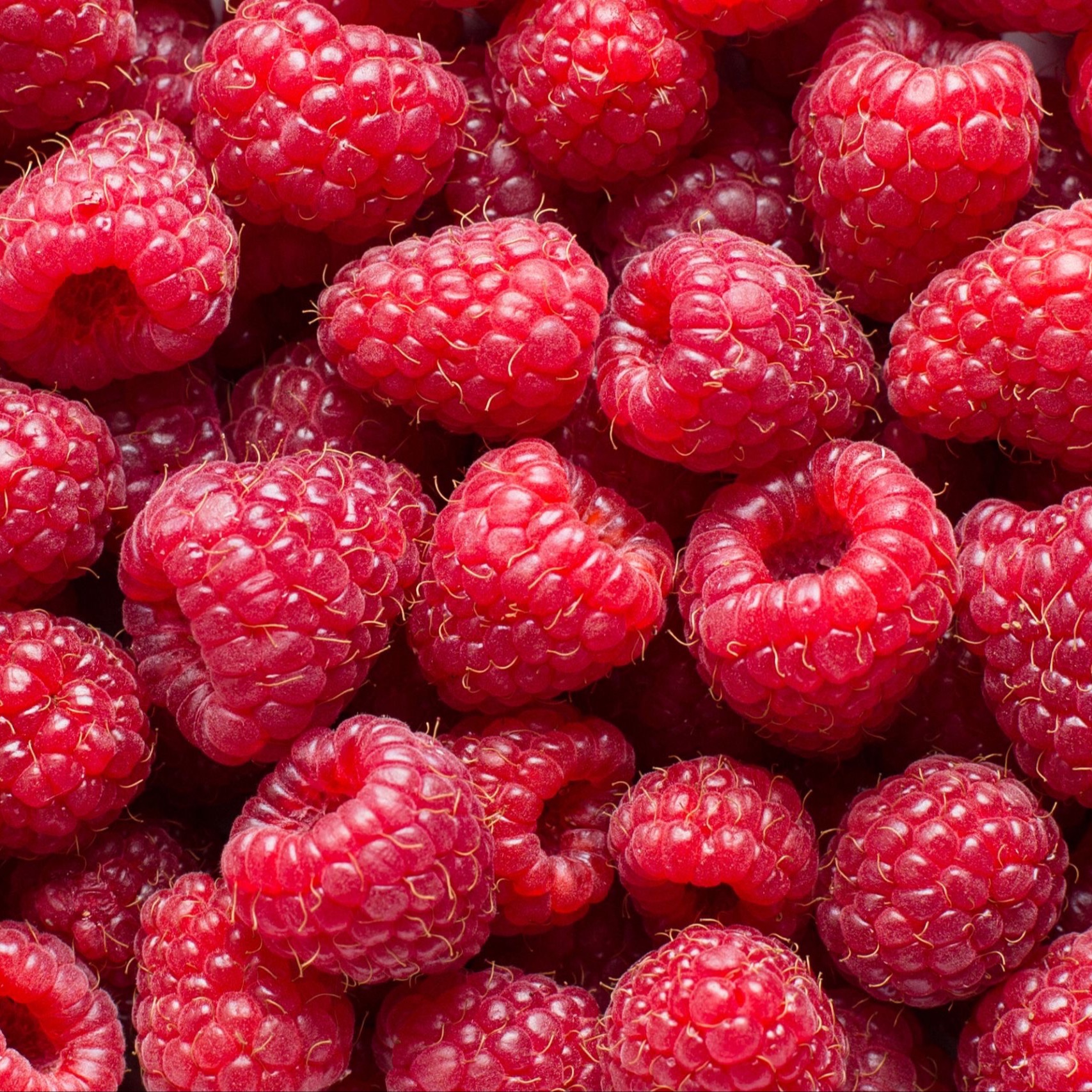 Framboise - 125g