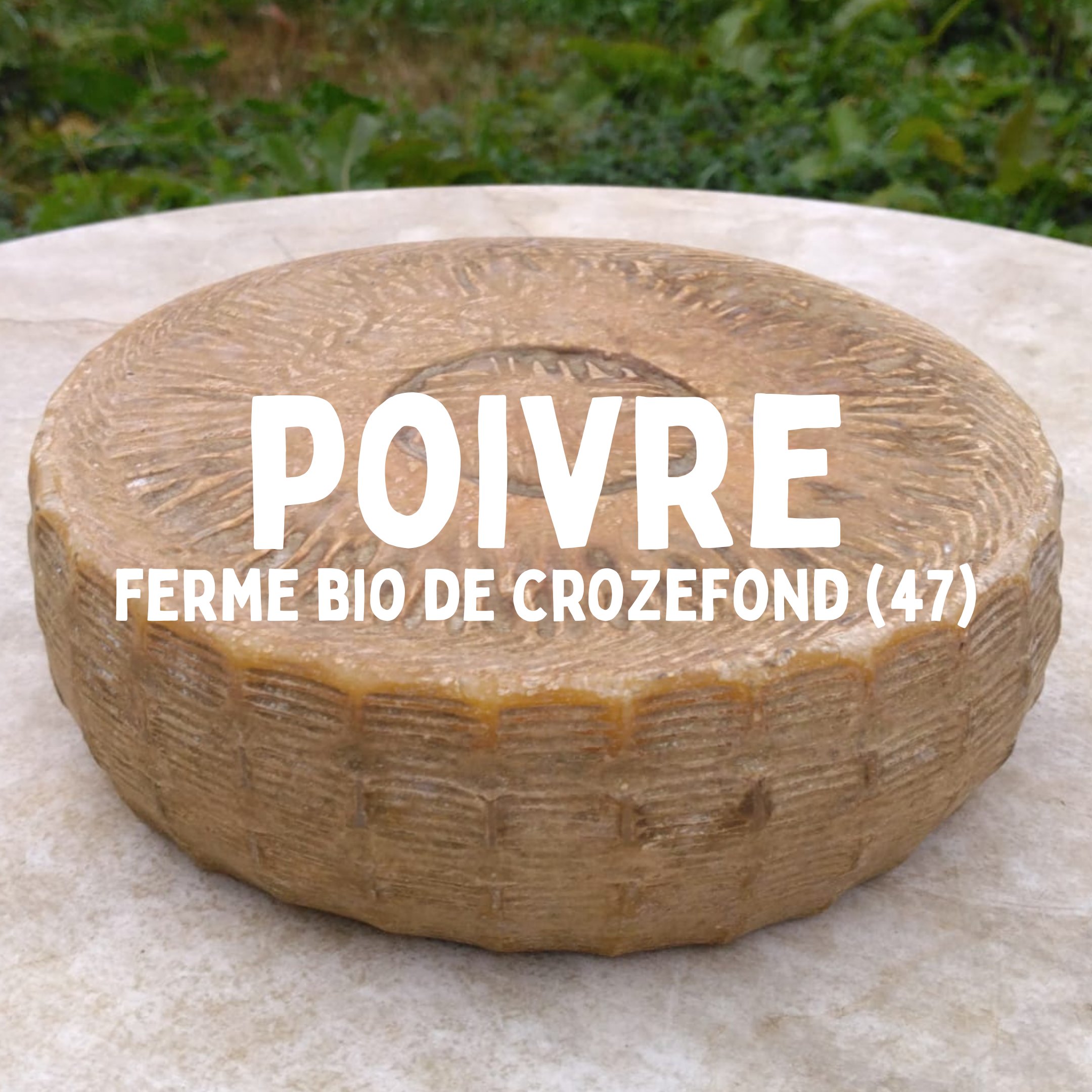 Tome au lait entier Poivre - 200g