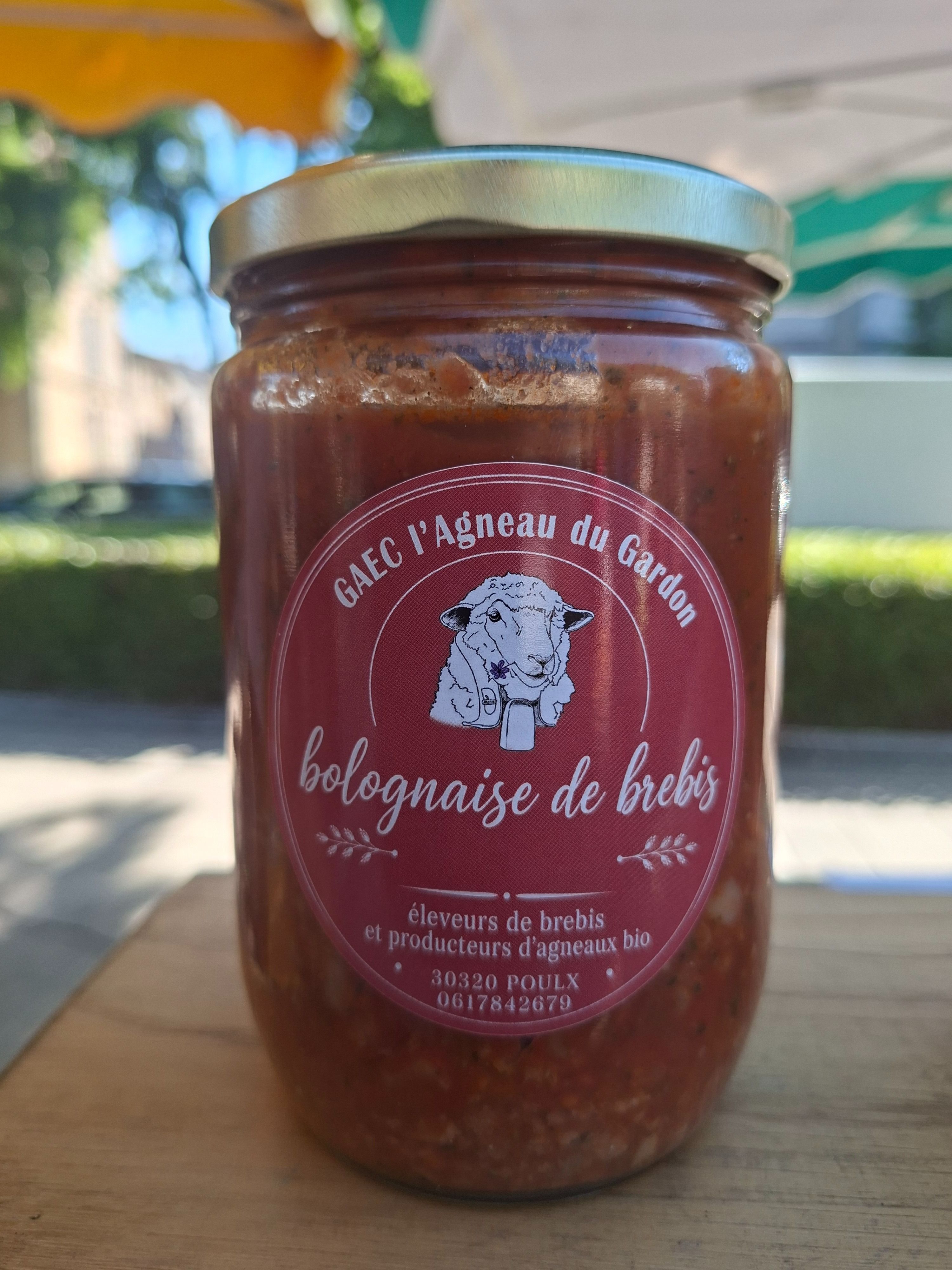 Bolognaise de brebis