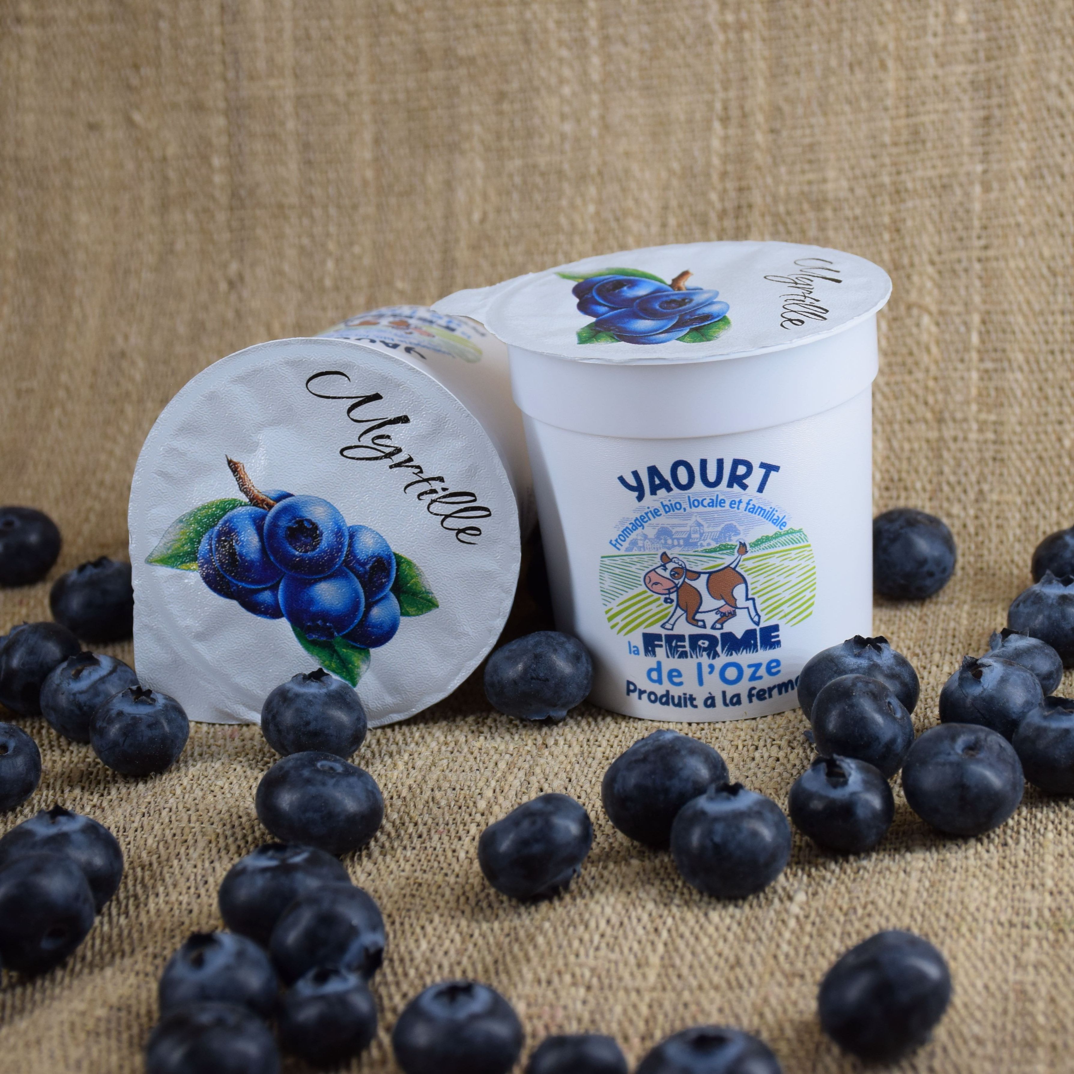 Yaourt Myrtille Brassé 125G
