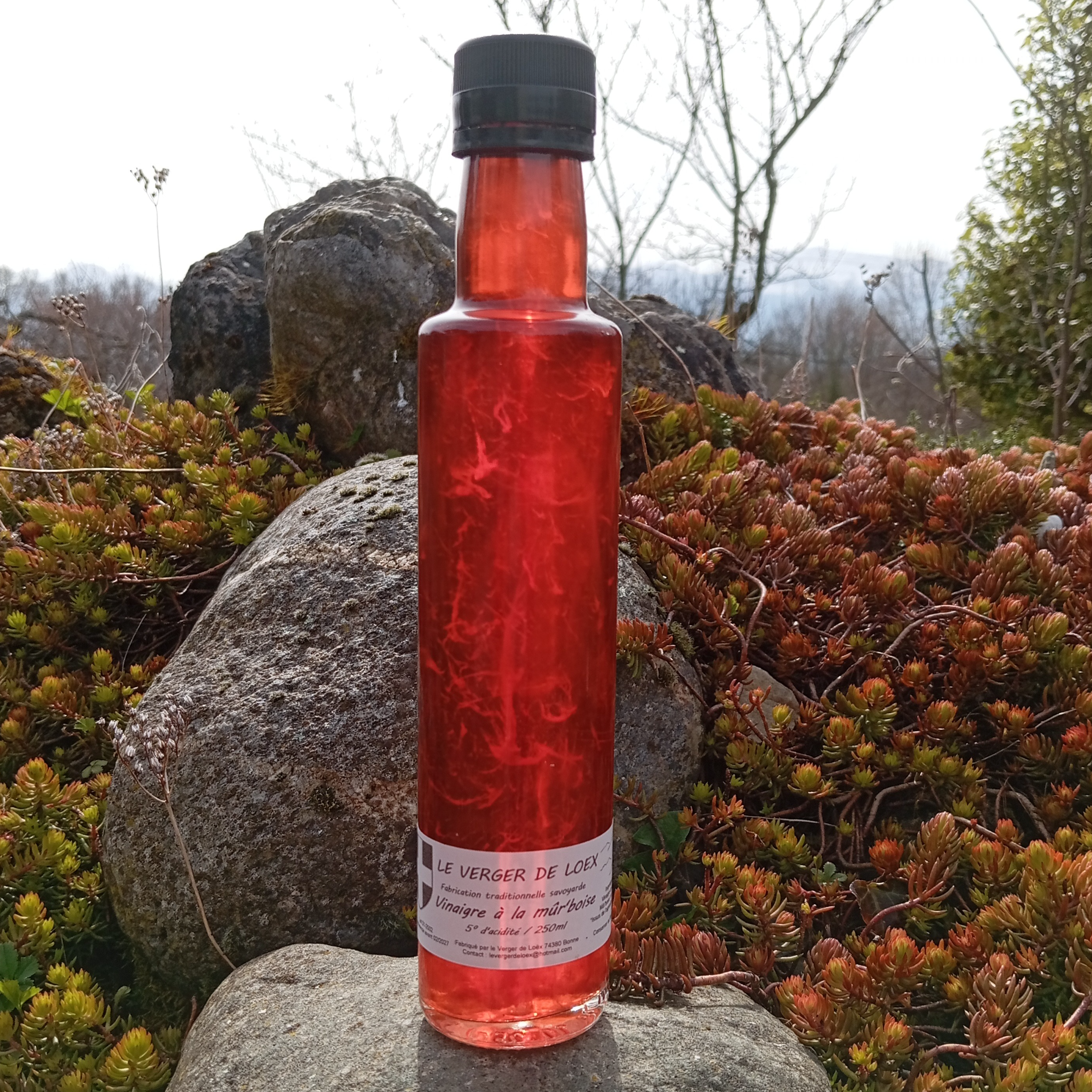 Vinaigre aux mûr'boises bio du verger - 250ml - 250ml