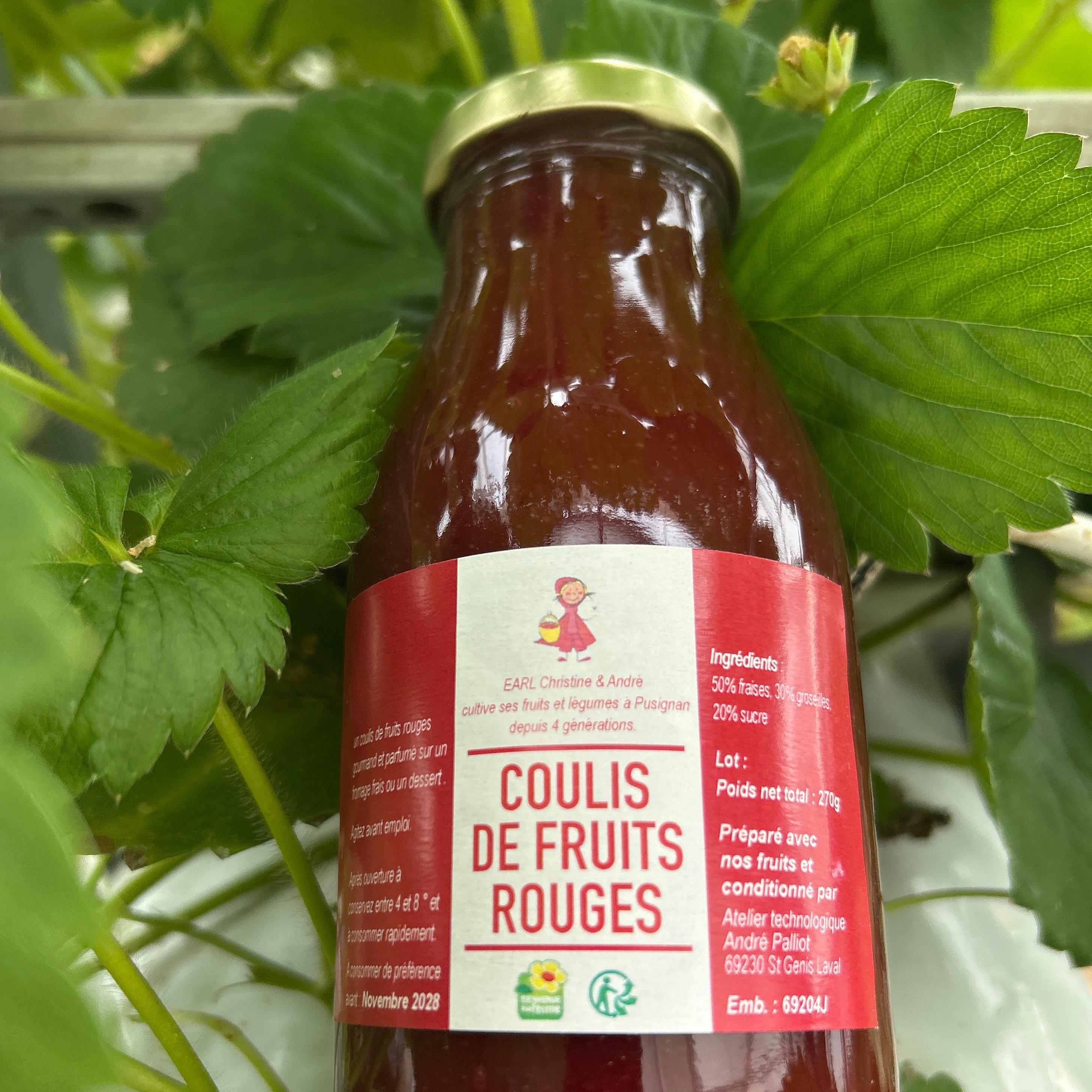 Coulis de Fruits Rouges - 270g