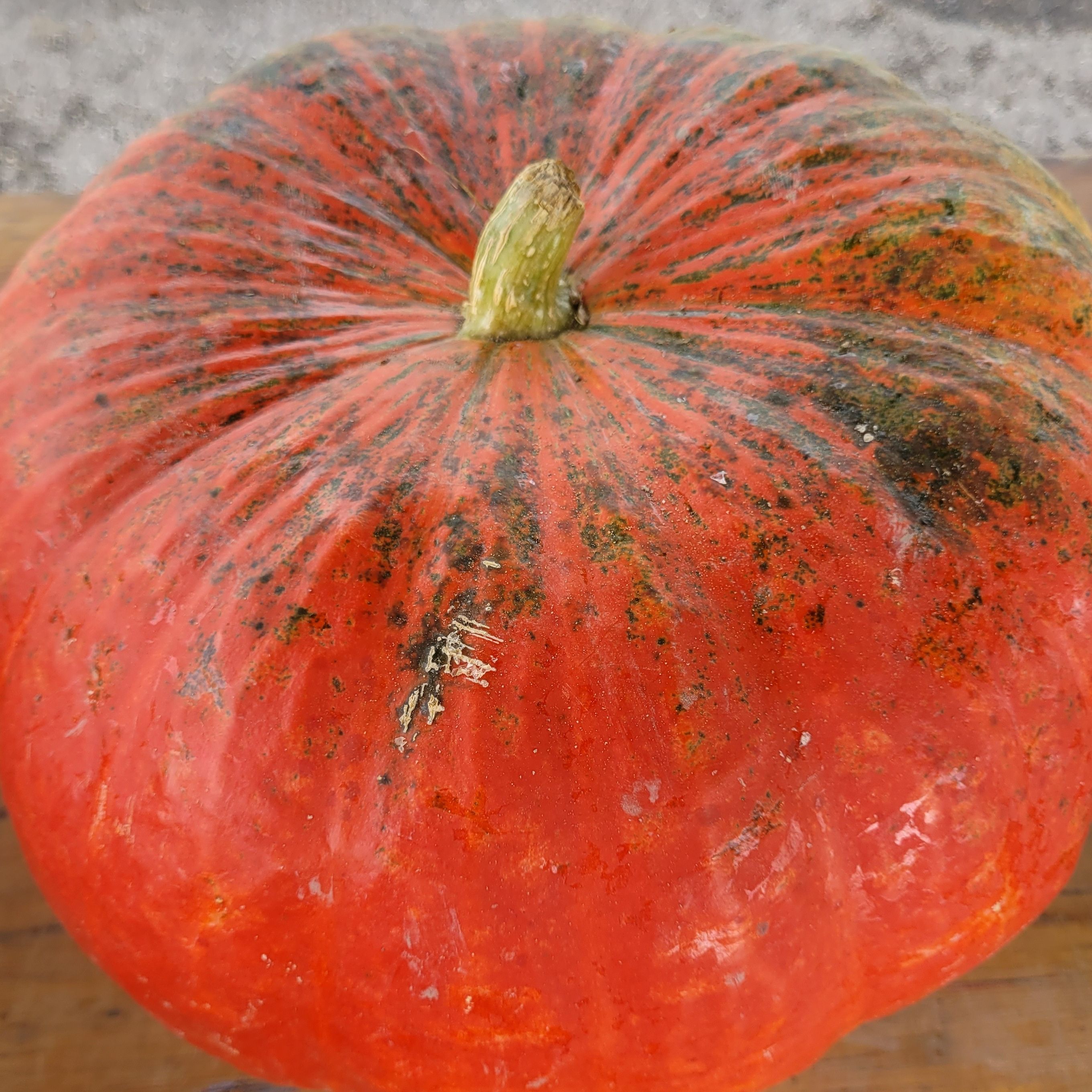 COURGE POTIRON EN PART