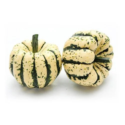 Courge - Patidou BIO - 1kg