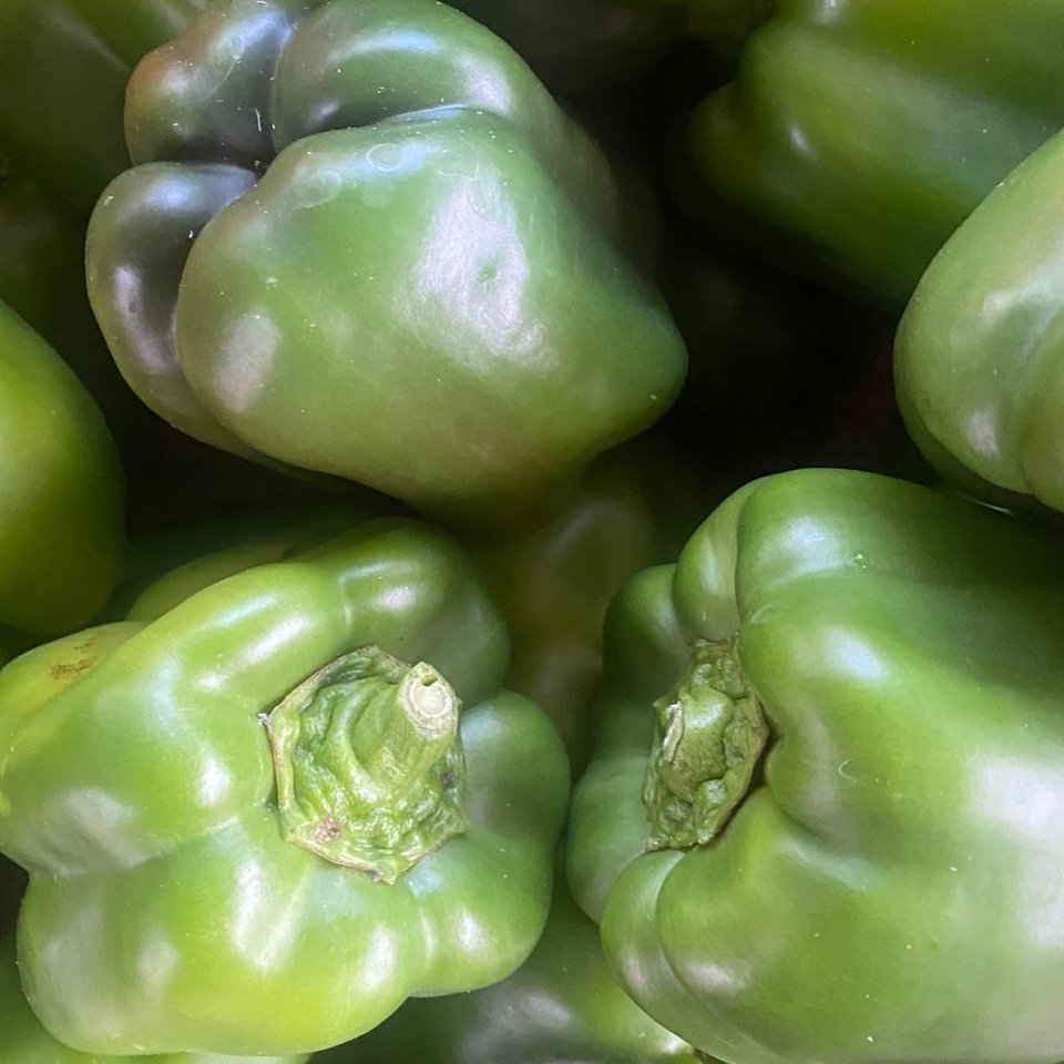 Poivron carré vert - 500g