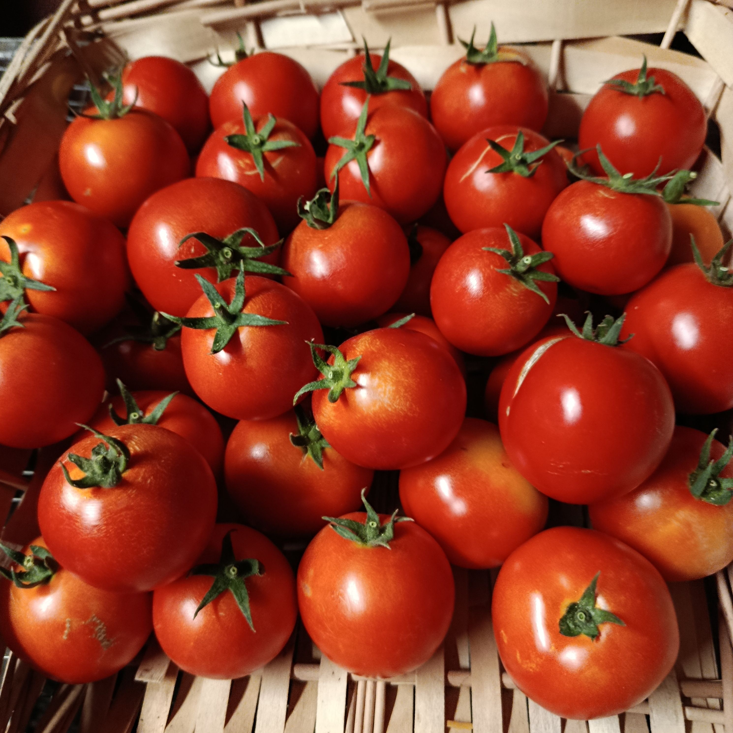 Tomate ronde petite entre 50 et 100gr