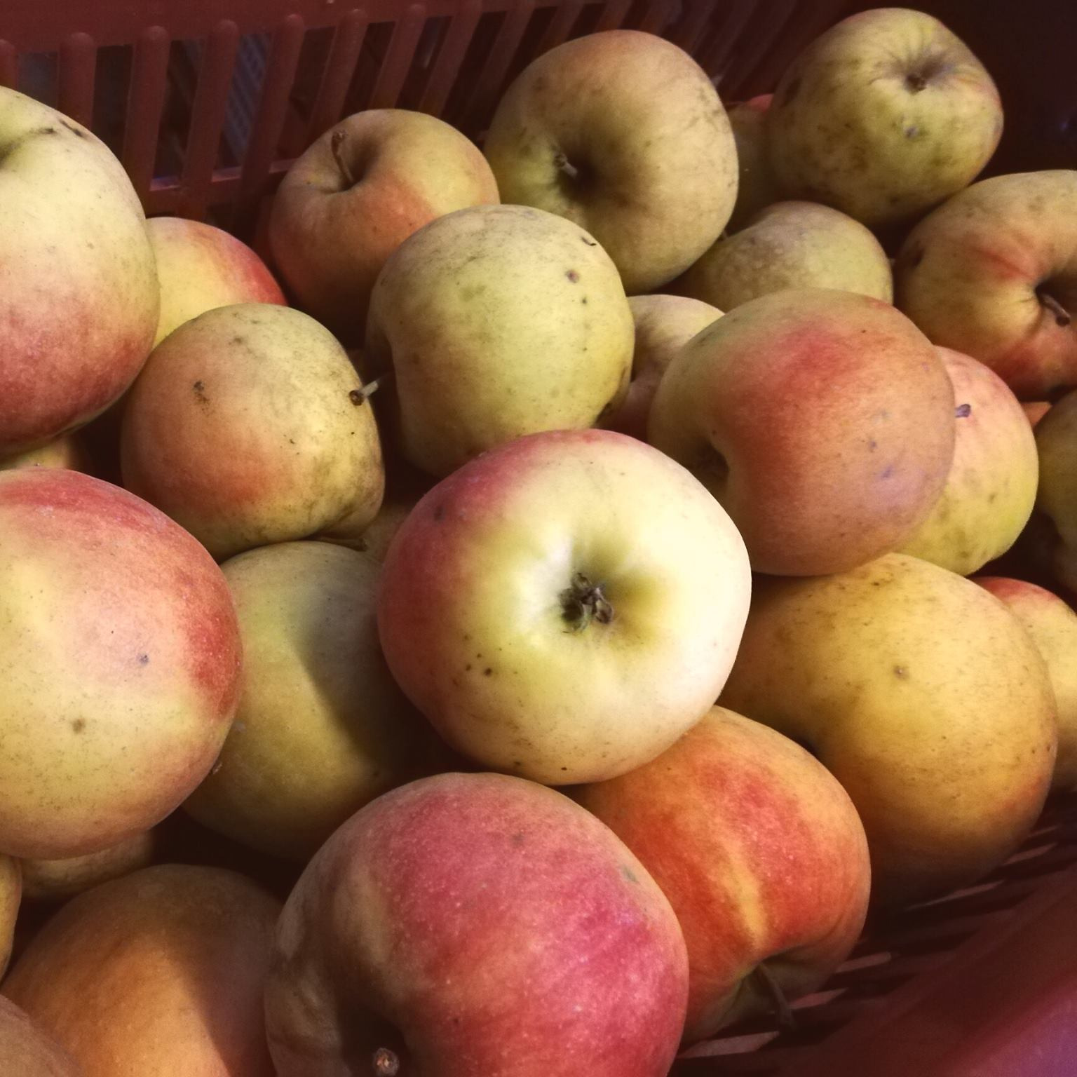 Pommes (kg)