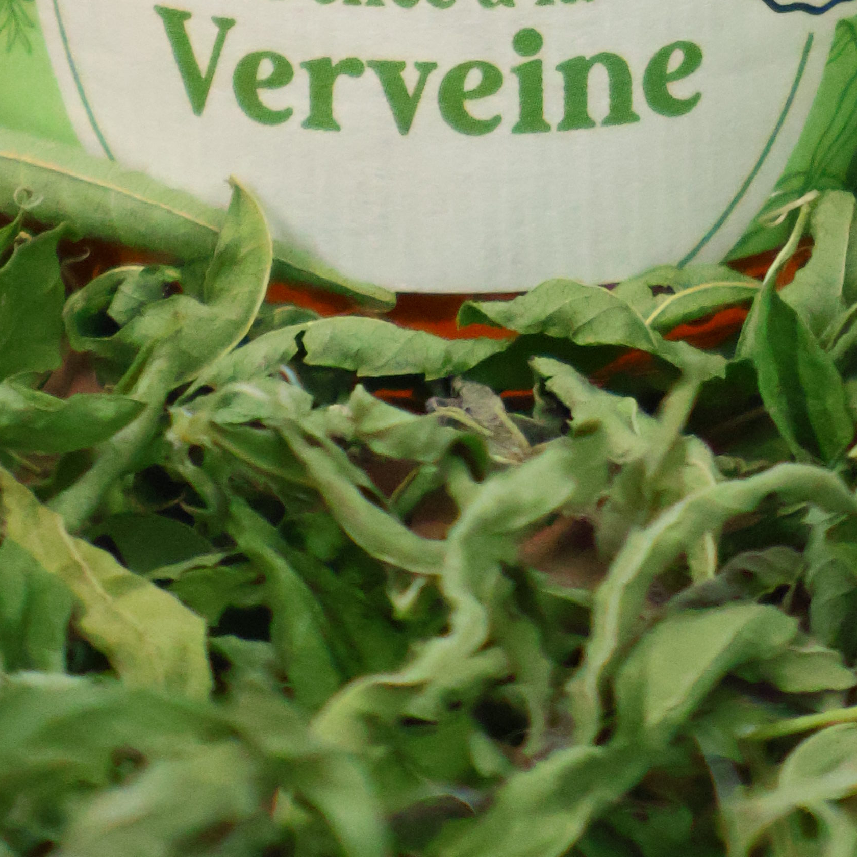 Verveine Citronnée - 20g