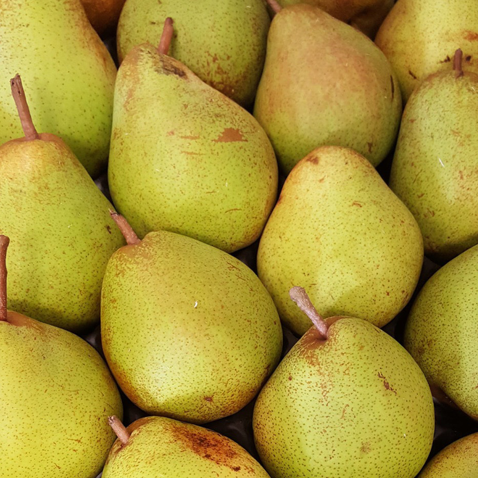 POIRE WILLIAMS