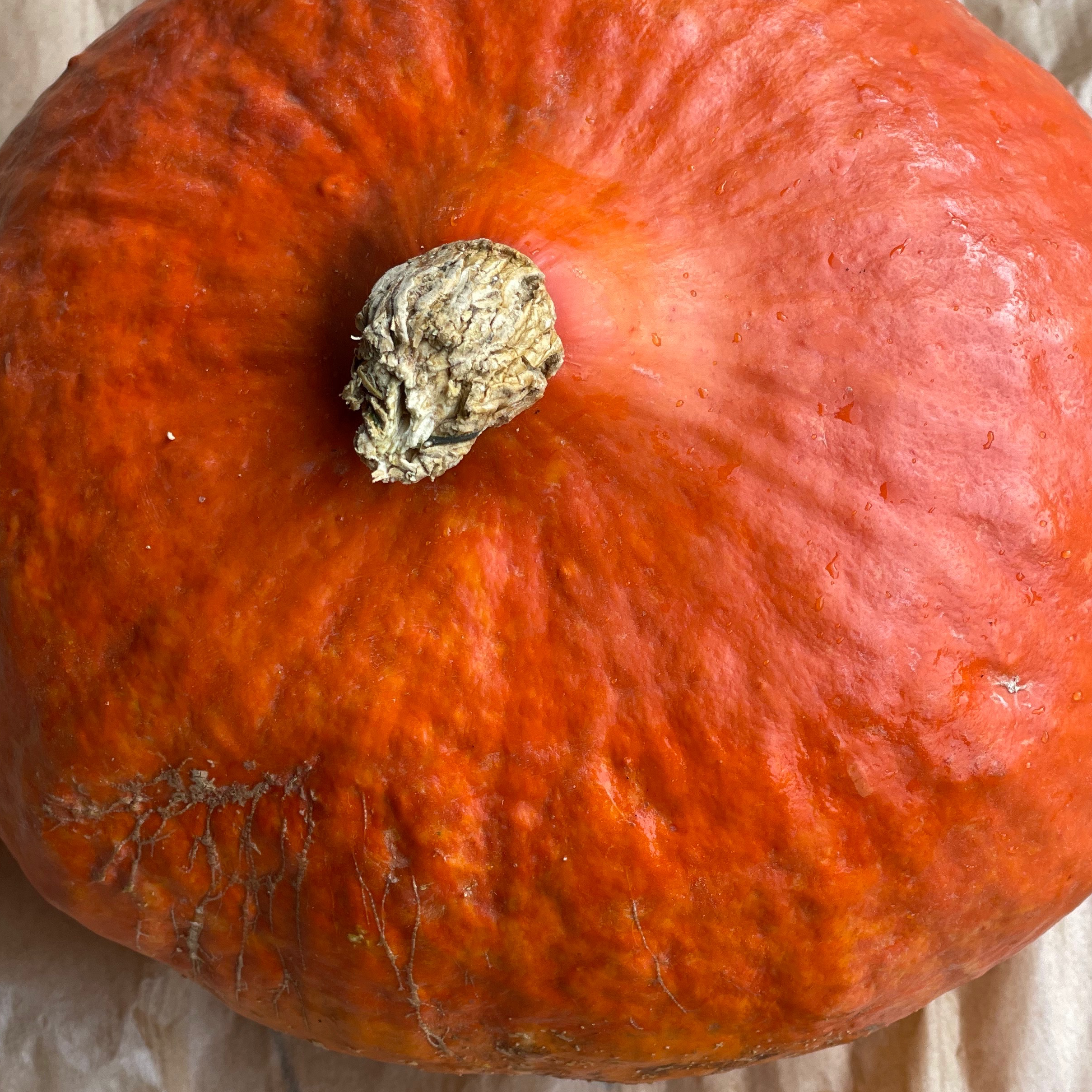 Potimarron 0,750kg - 0,75kg