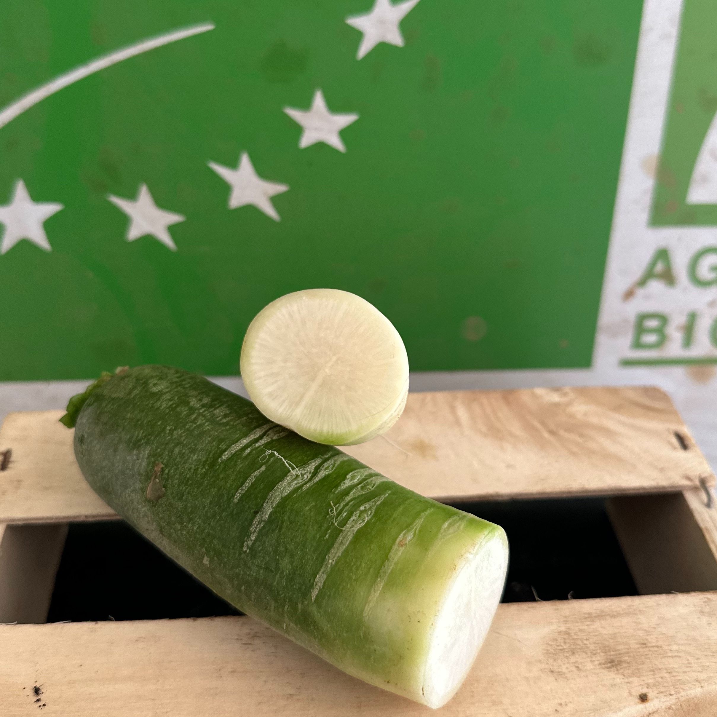 Radis vert à la pièce
