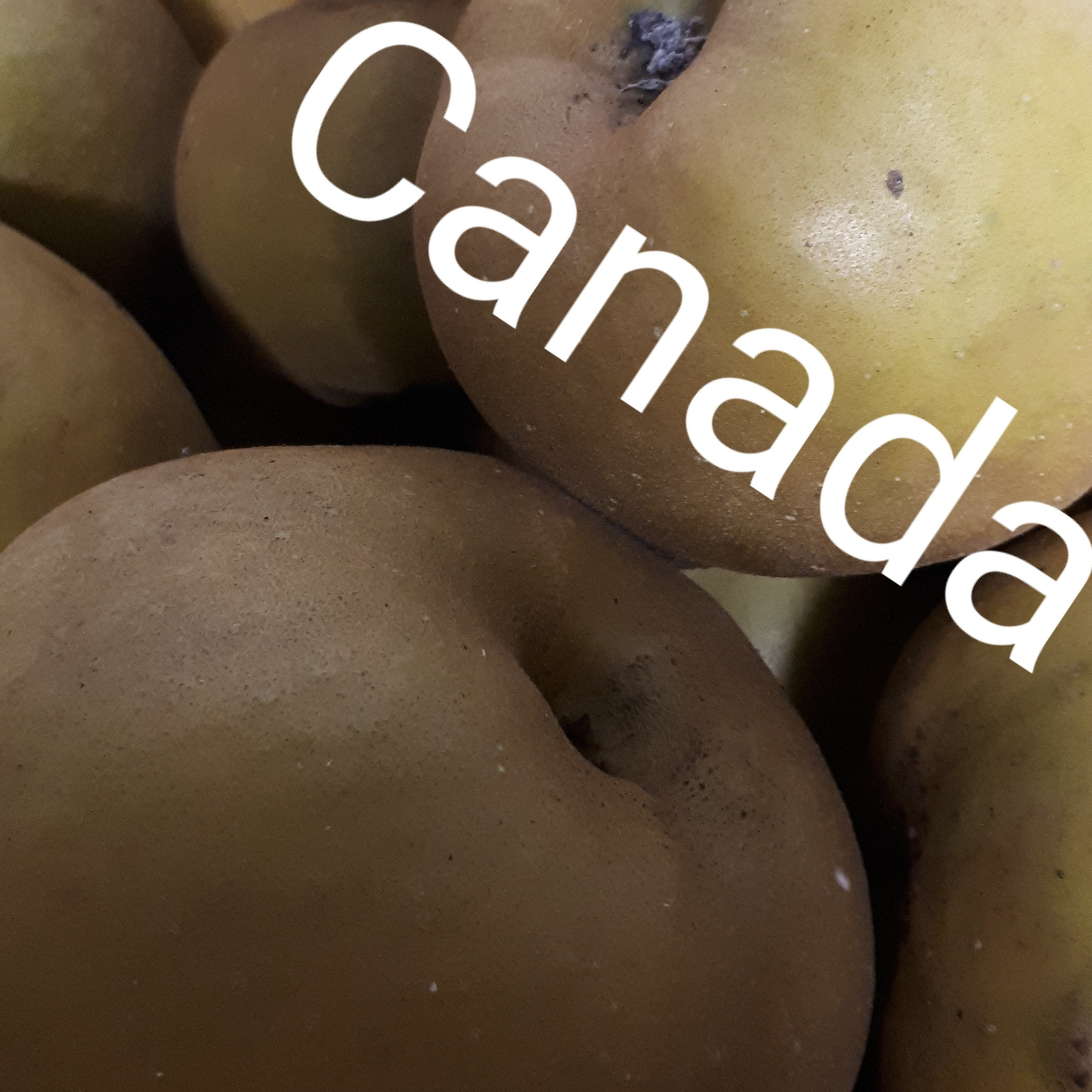 Pomme Canada bio et demeter 6kg