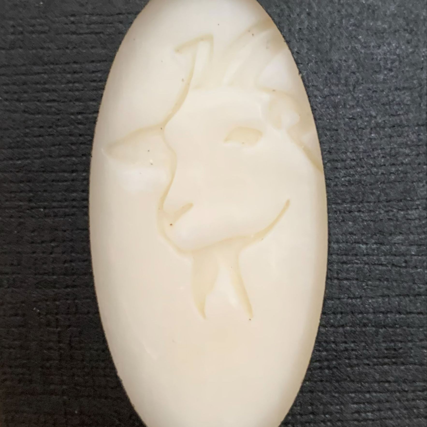 SAVON CHEVRE