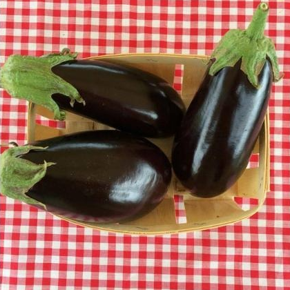 Aubergines 1 Kg (origine: La Cueillette 59 France)