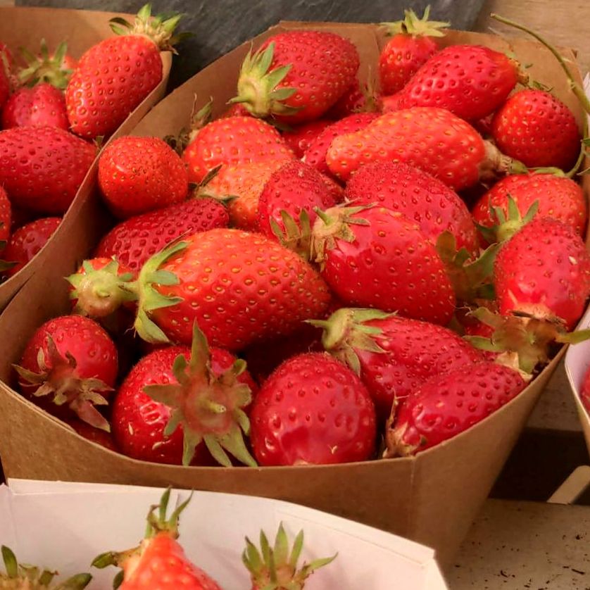 Fraise - barquette - 250g
