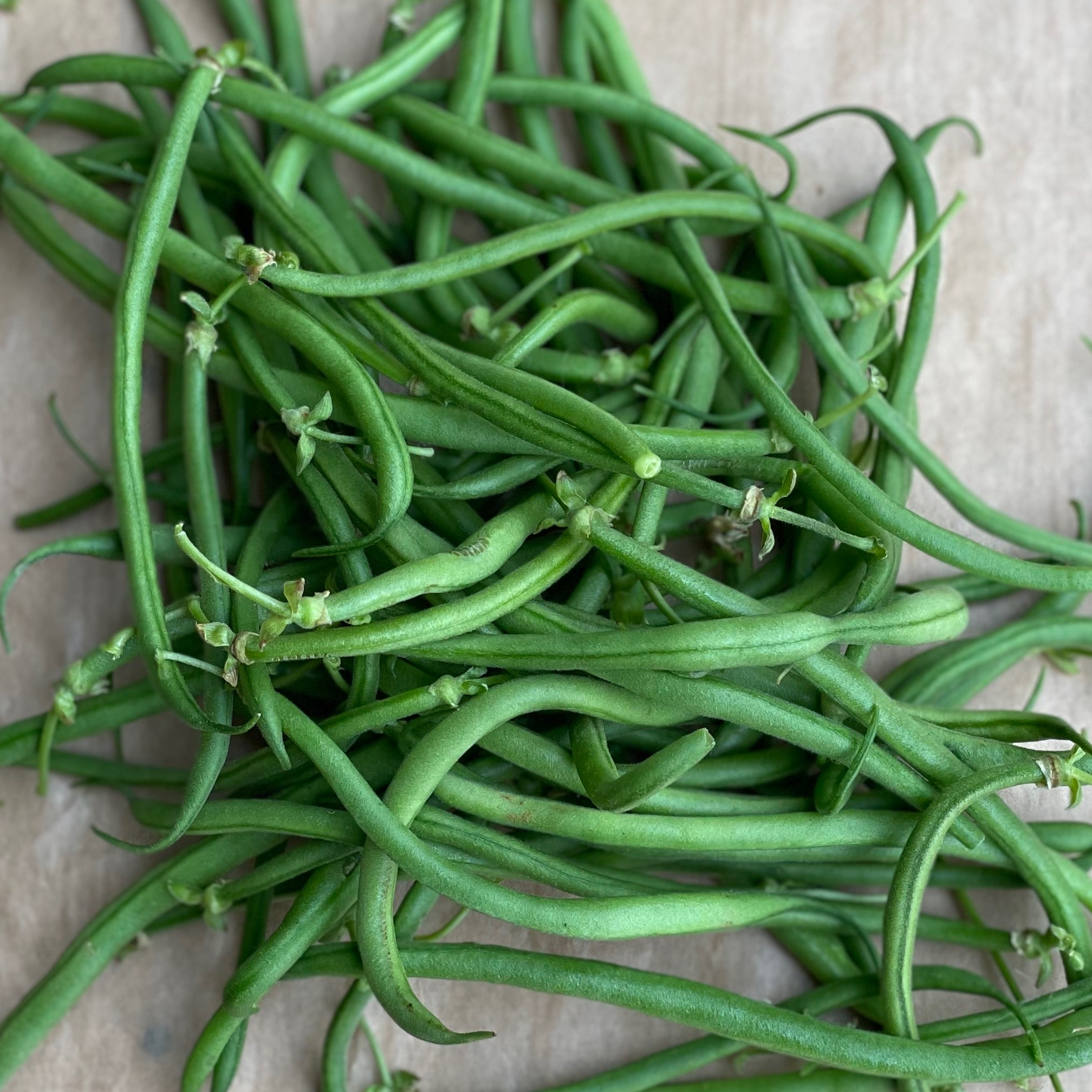 Haricot fin 0,5kg - 0,5g