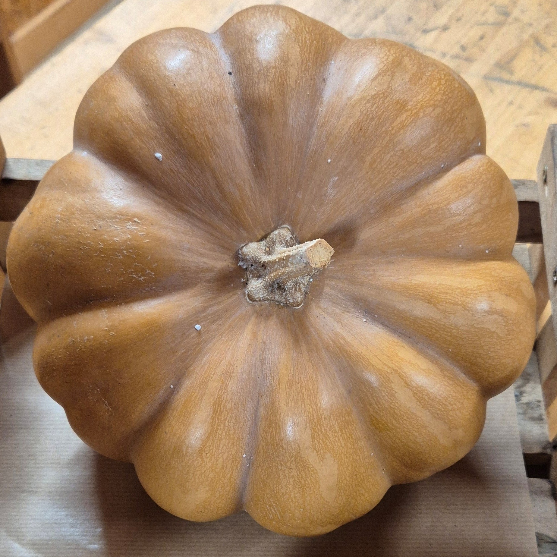 Courge Musquée de provence - 1,3kg